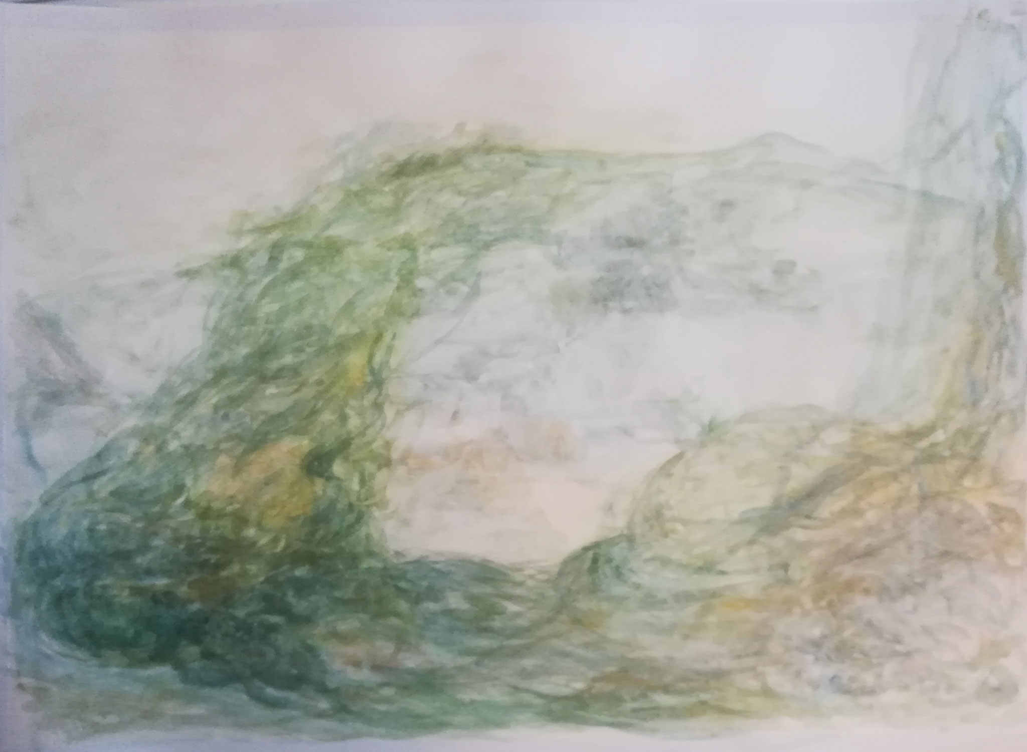Schilf 2024; 70 x 50 cm, Gouache auf Papier