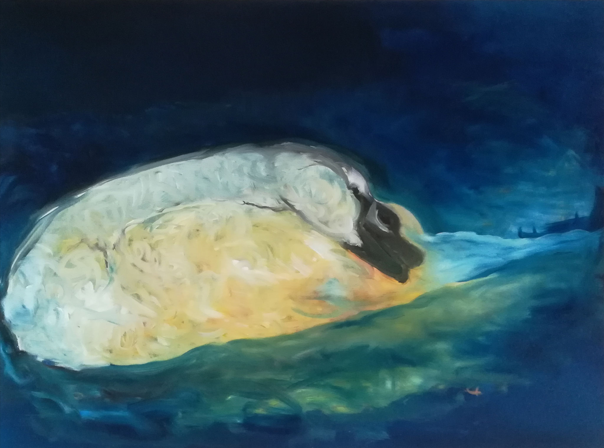 Schwan 2025; 80 x 60 cm, Öl auf Leinwand