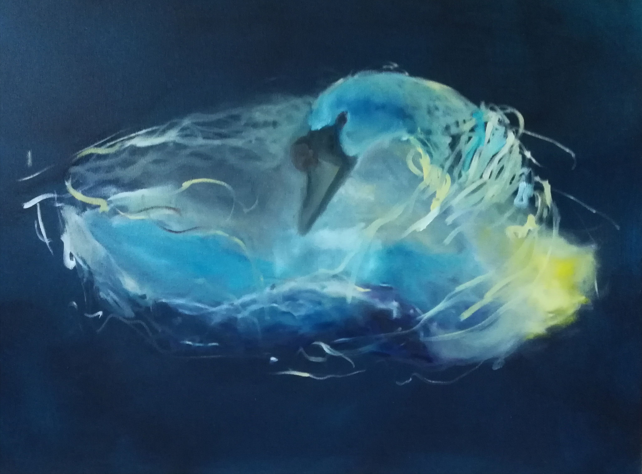 Schwan 2025; 80 x 60 cm, Öl auf Leinwand