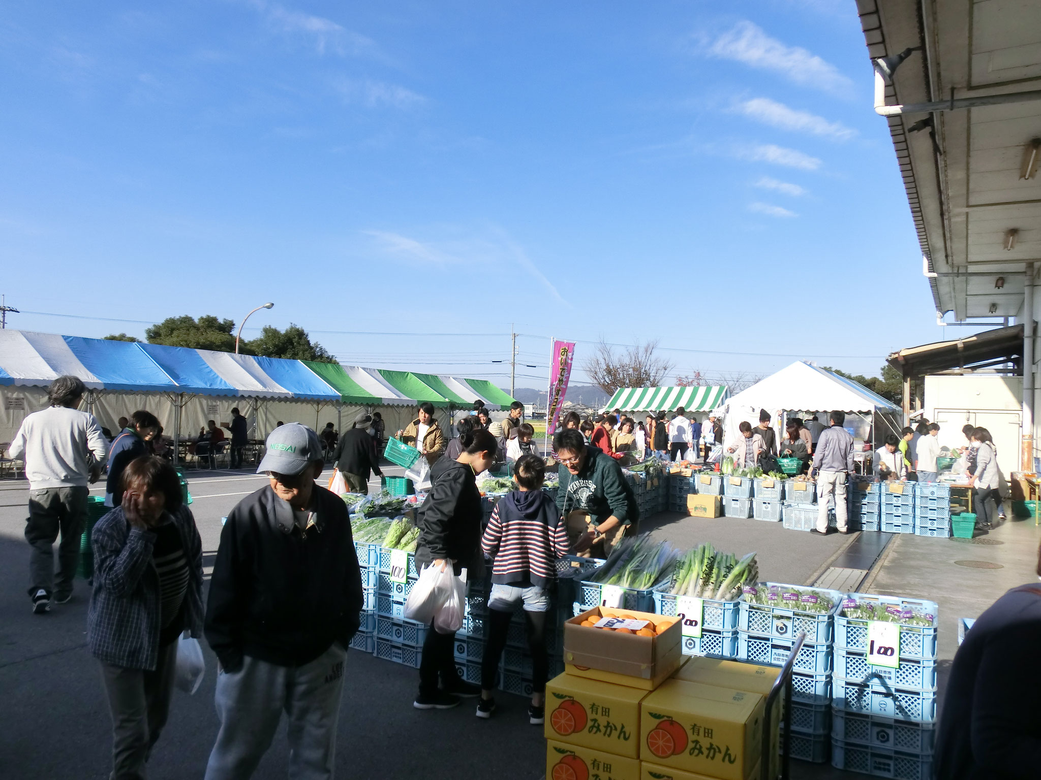 東近江市八日市公設地方卸売市場 jimdo