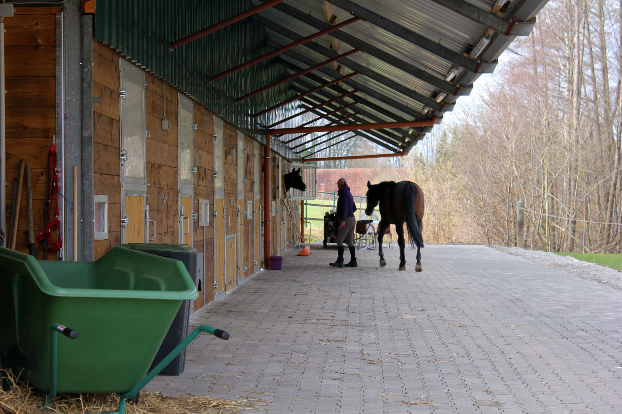 Stallgasse Stall 3