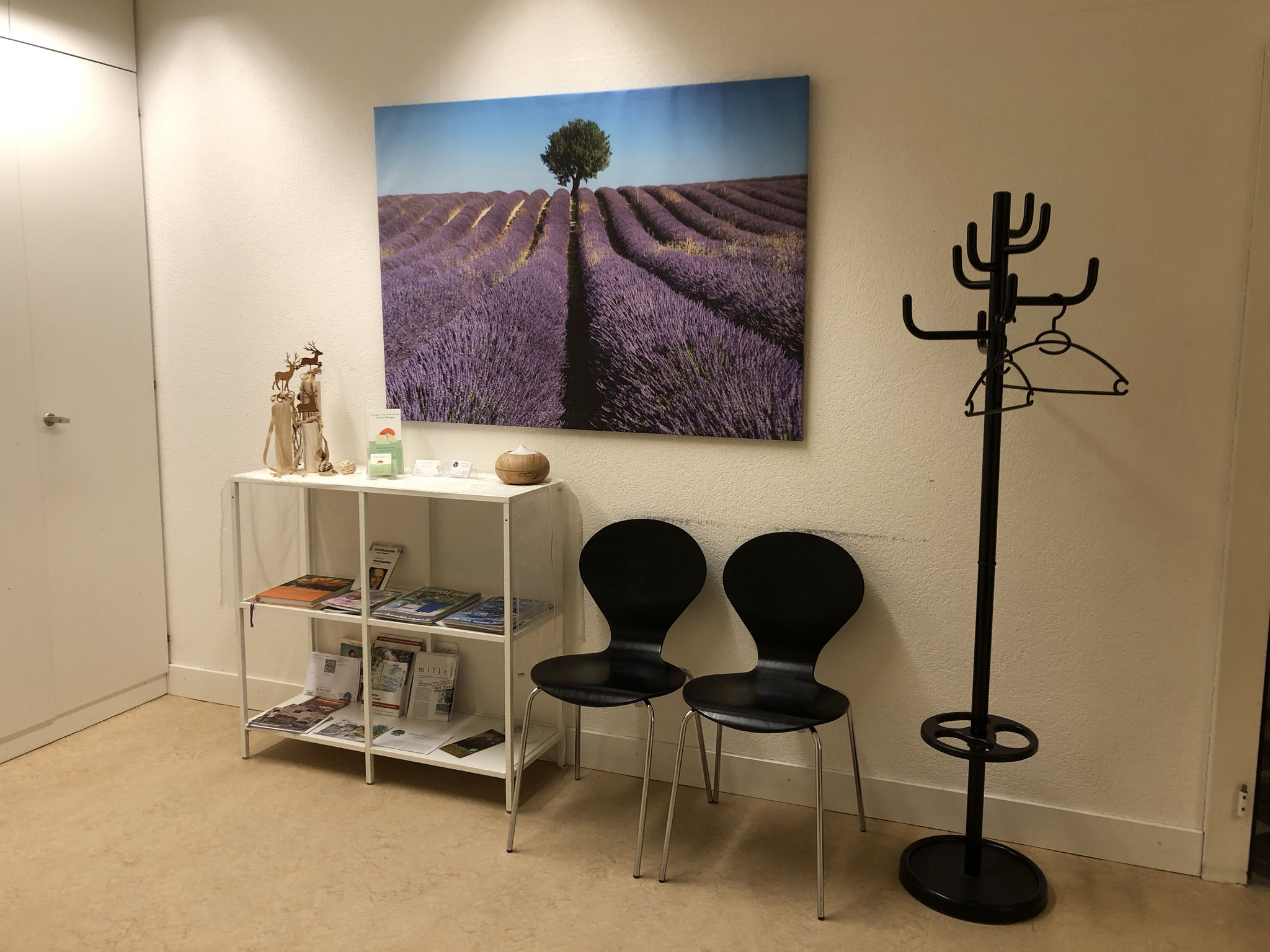Massage- und Komplementärtherapie-Praxis im Herzen von Winterthur – EMR/ASCA-anerkannt, rollstuhlgängig, ruhige Atmosphäre