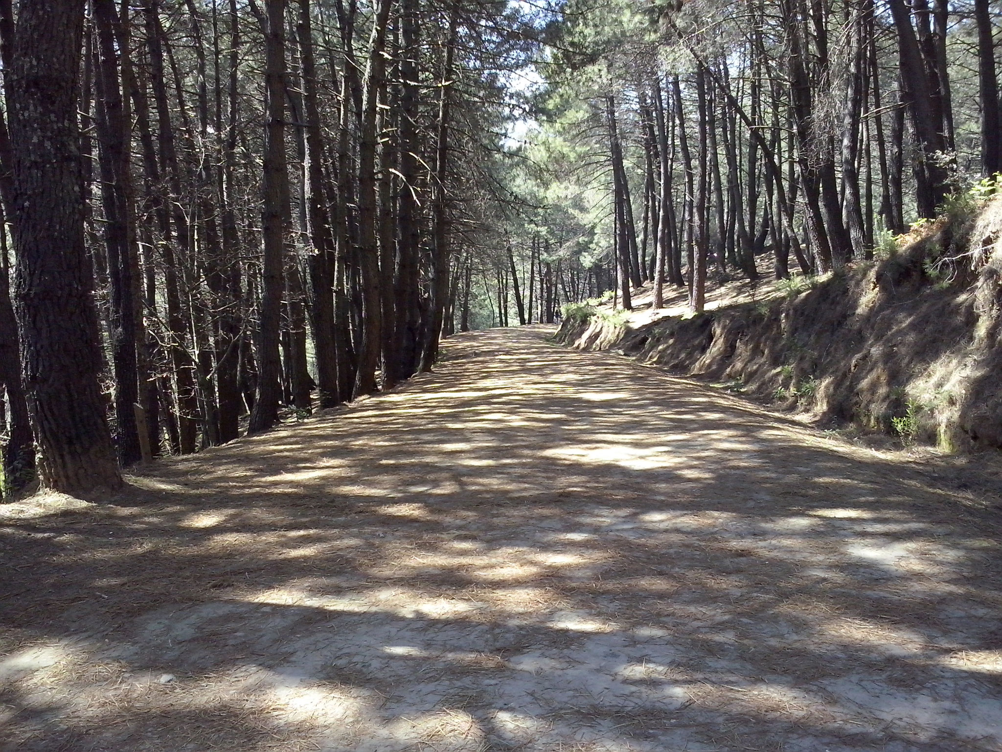 Camino del Juanar. Alba Ceballo Cebrián. 5ºA