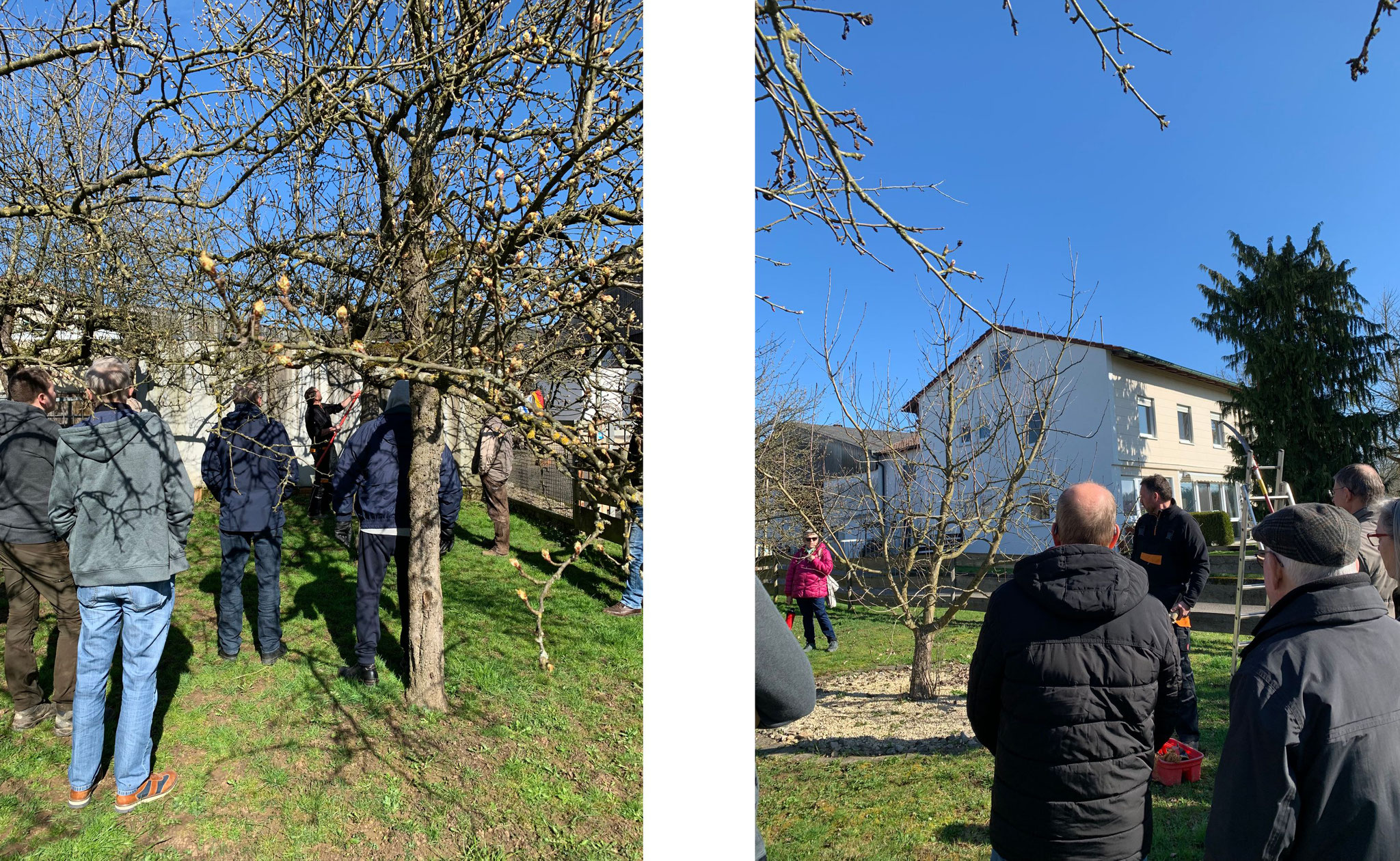 Schnittkurs im Garten von Fam. Bauer, Anfang März durch Herrn Rapp von Schlierbach