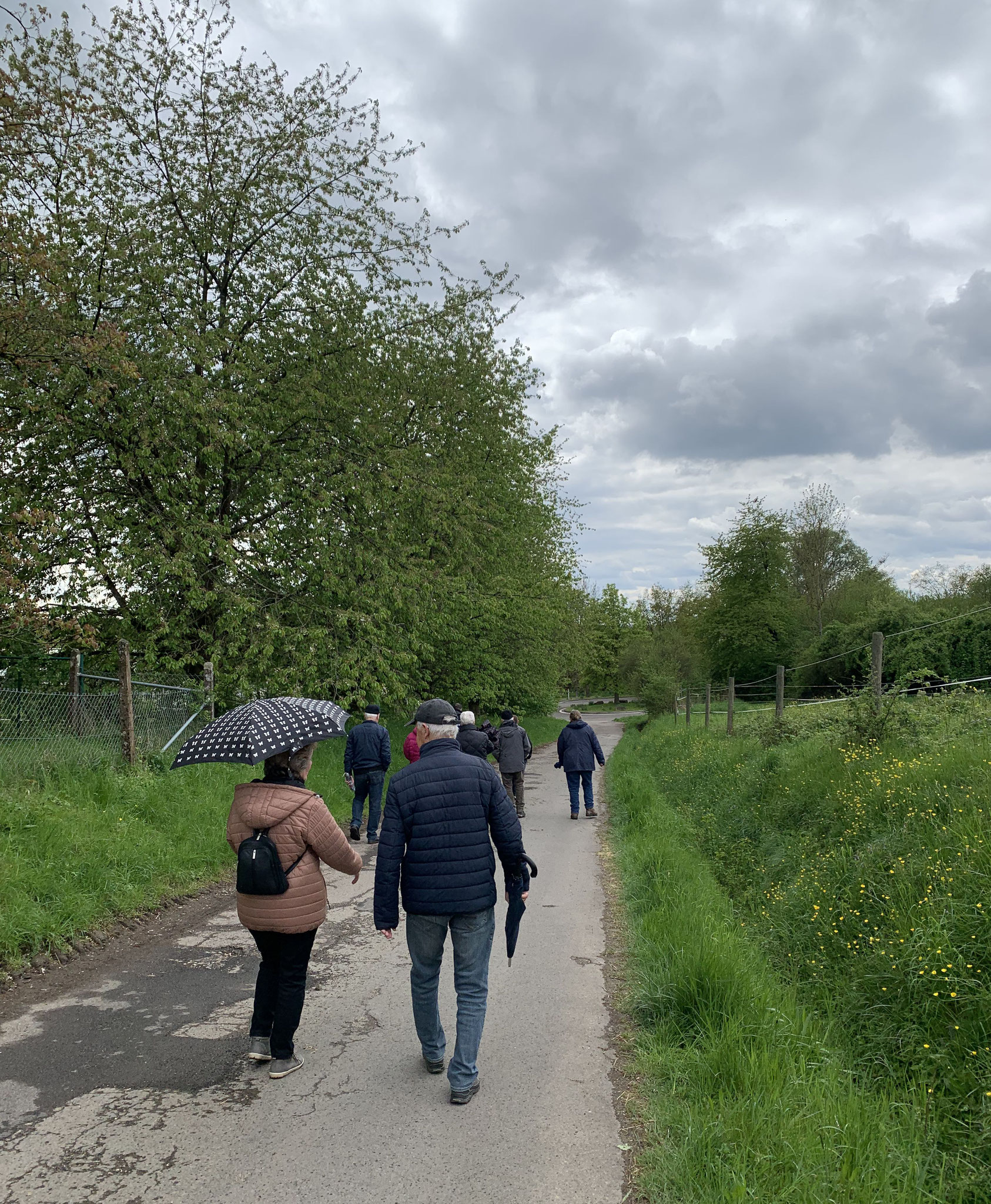 Streuobstwiesen - Blütenrundgang Ende April