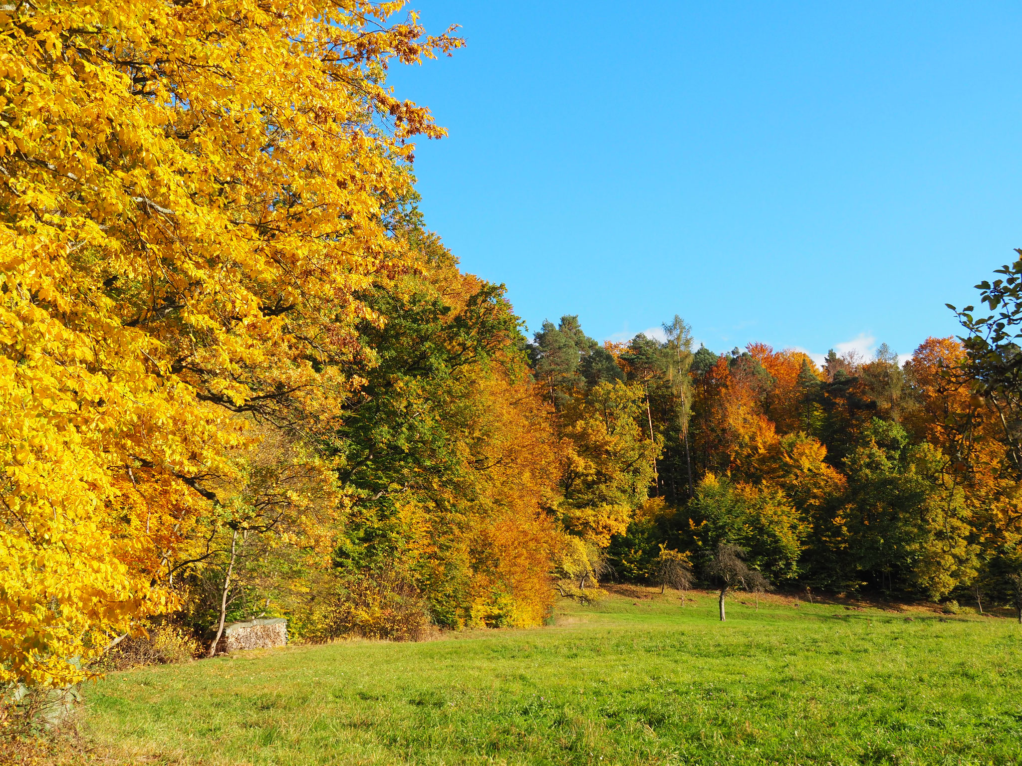 Ein goldener Oktober erleichert die Arbeit mit dem vielen Obst.