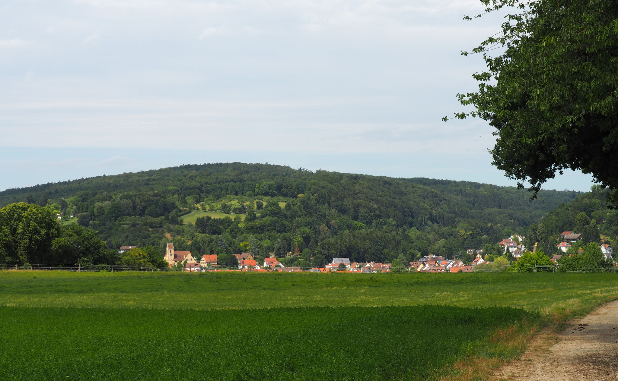 Auch bei wenig Regen liegt unser Reichenbach im grünen Bereich.