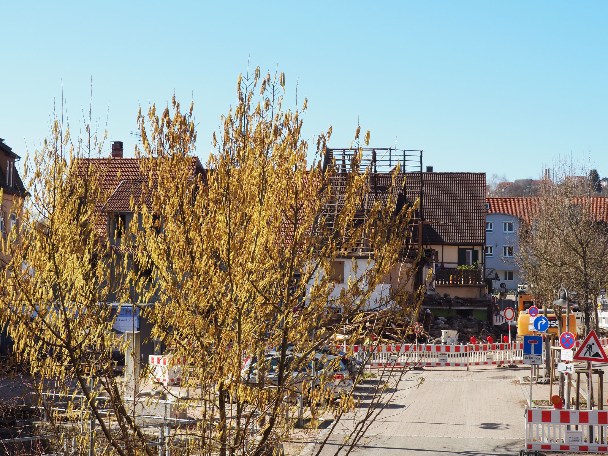 der März ist wintrig bis in 2. Hälfte (Haselnuss-Staub + Sahara-Staub)