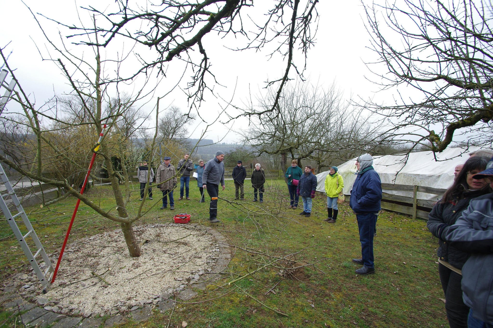 Schnittkurs im Garten von Fam. Bauer mit Herrn Rapp vom OGV Schlierbach