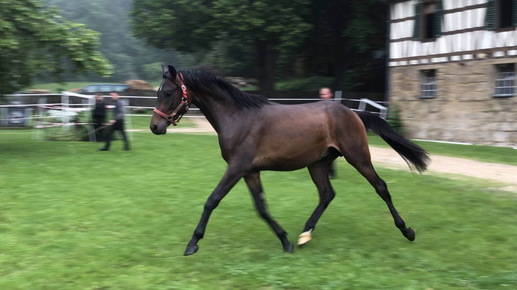Macis AS in Marbach 2019