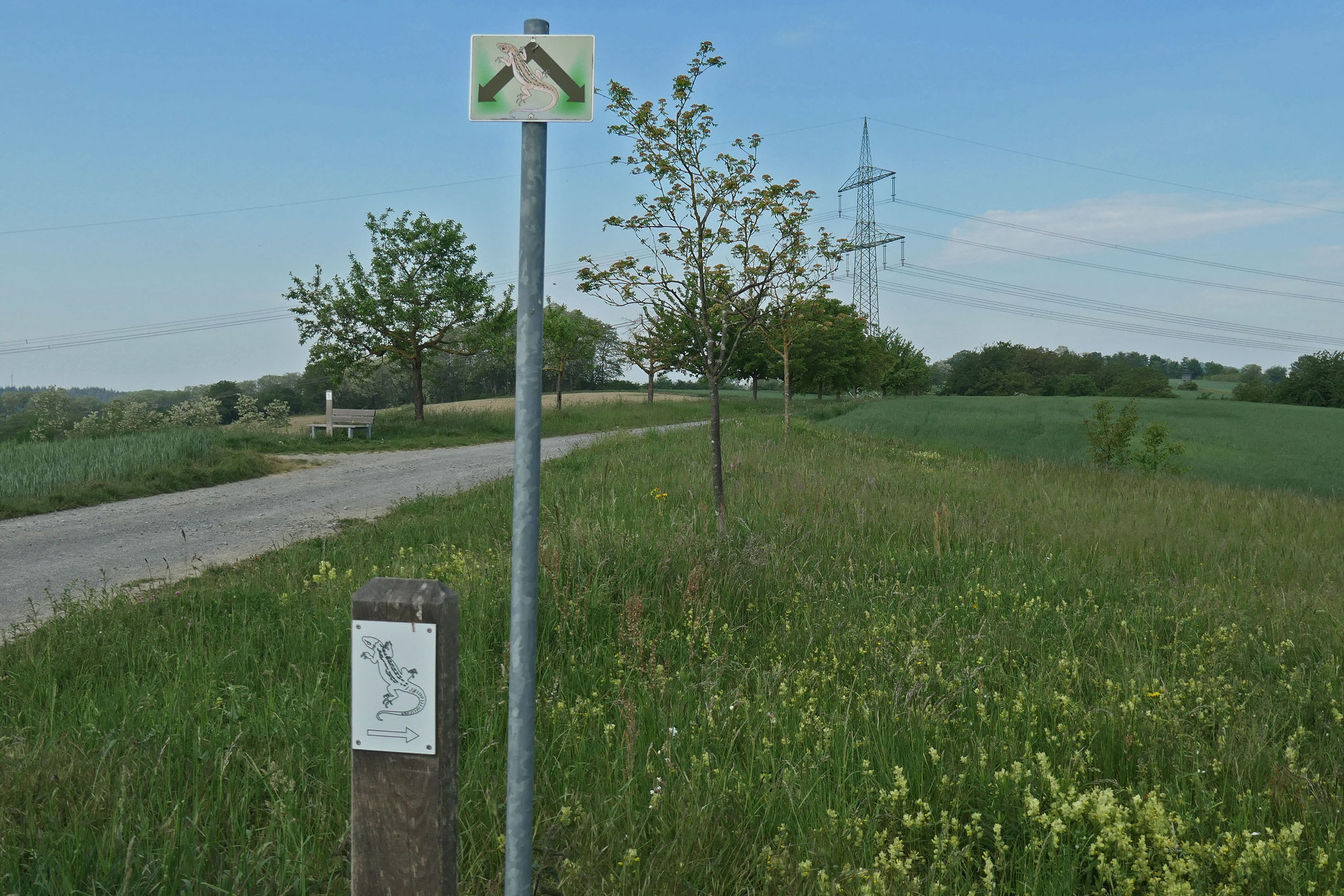 Alte und neue Wegmarkierung des Hohlenpfads am Treffpunkt der beiden Wegschleifen oberhalb der Lichtengrundhohle