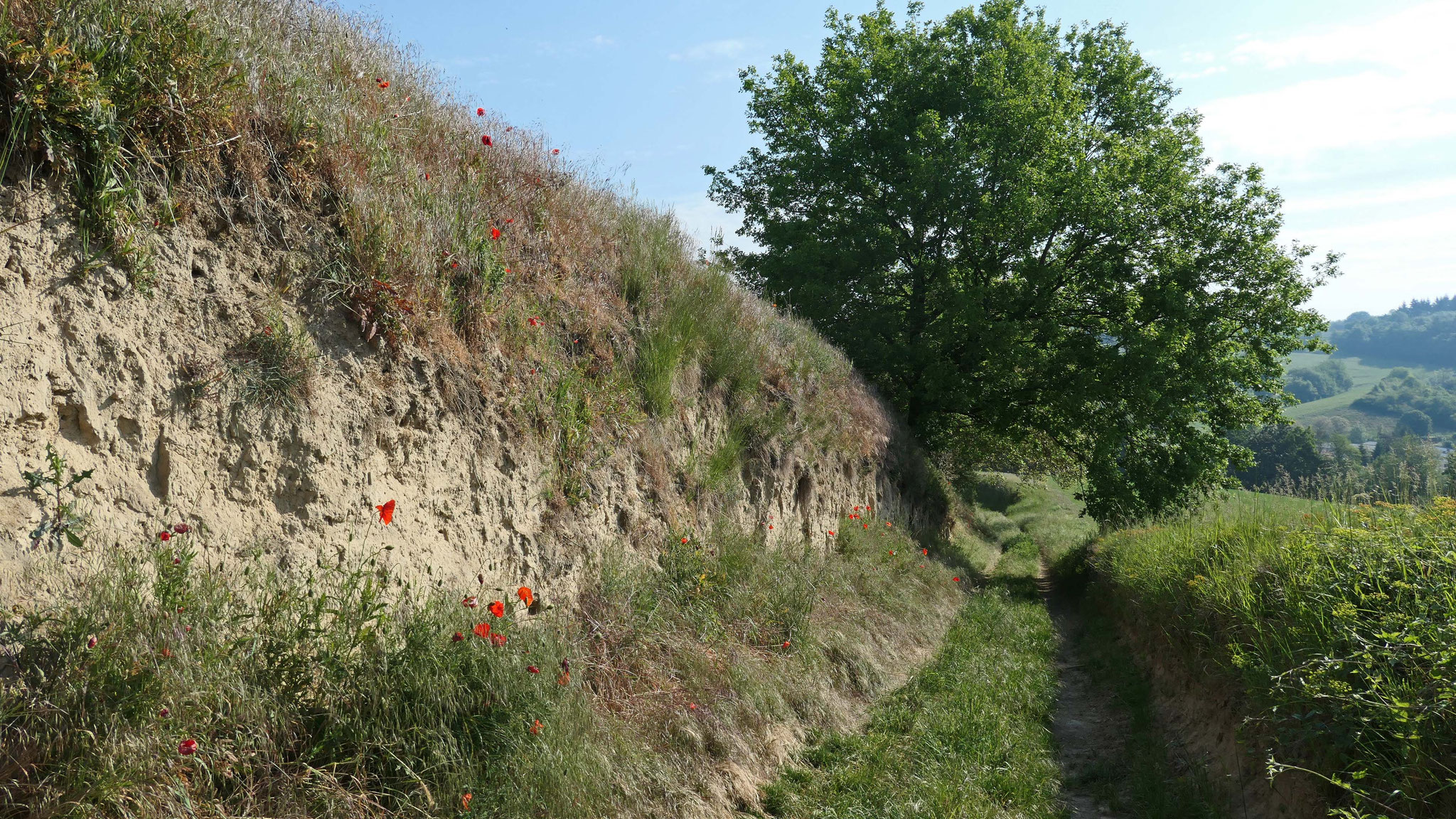 Fortsetzung des Hohlenpfads nach Westen 