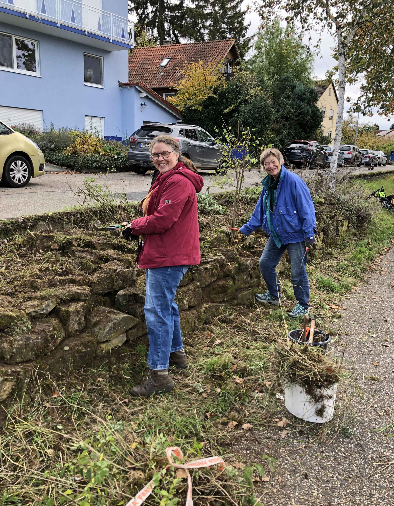 Aktive beim Jäten der Trockenmauer Anfang November