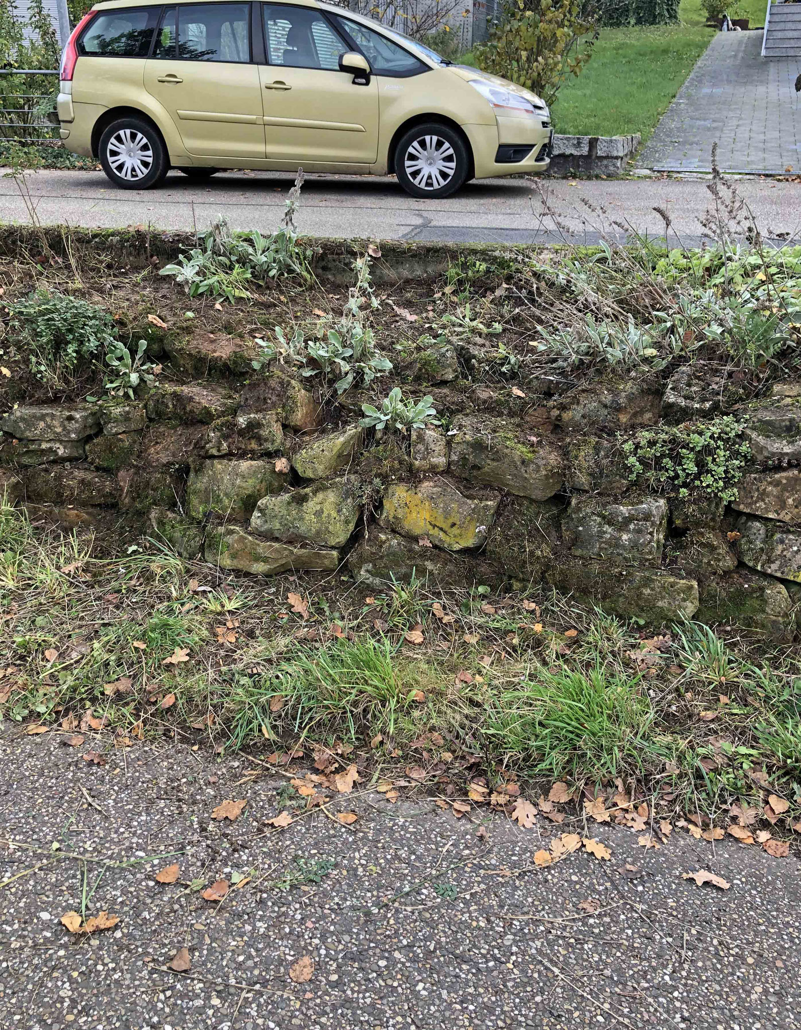 Trockenmauer nach der Pflege