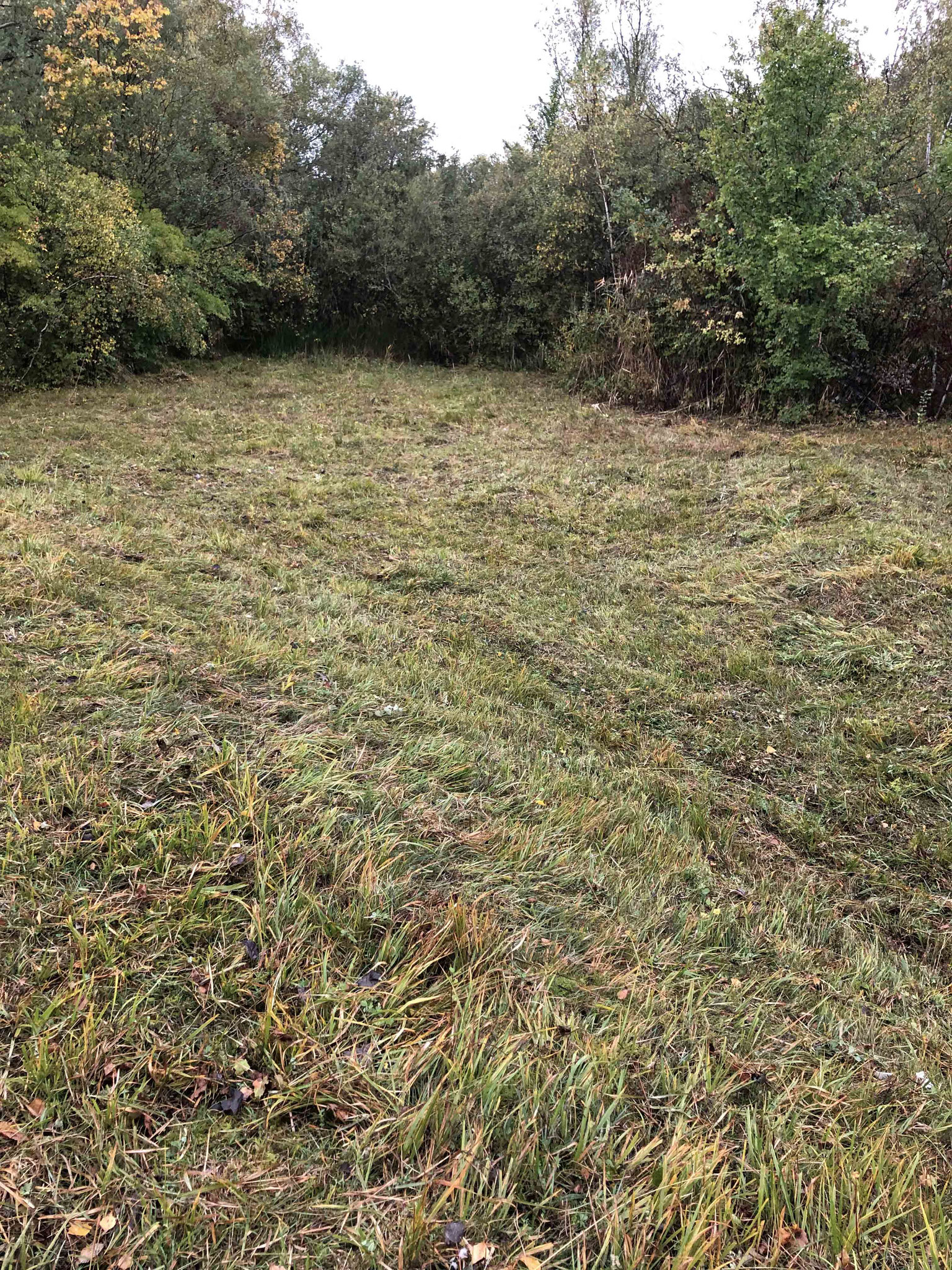 nach der herbstlichen Pflegemassnahme im Oktober