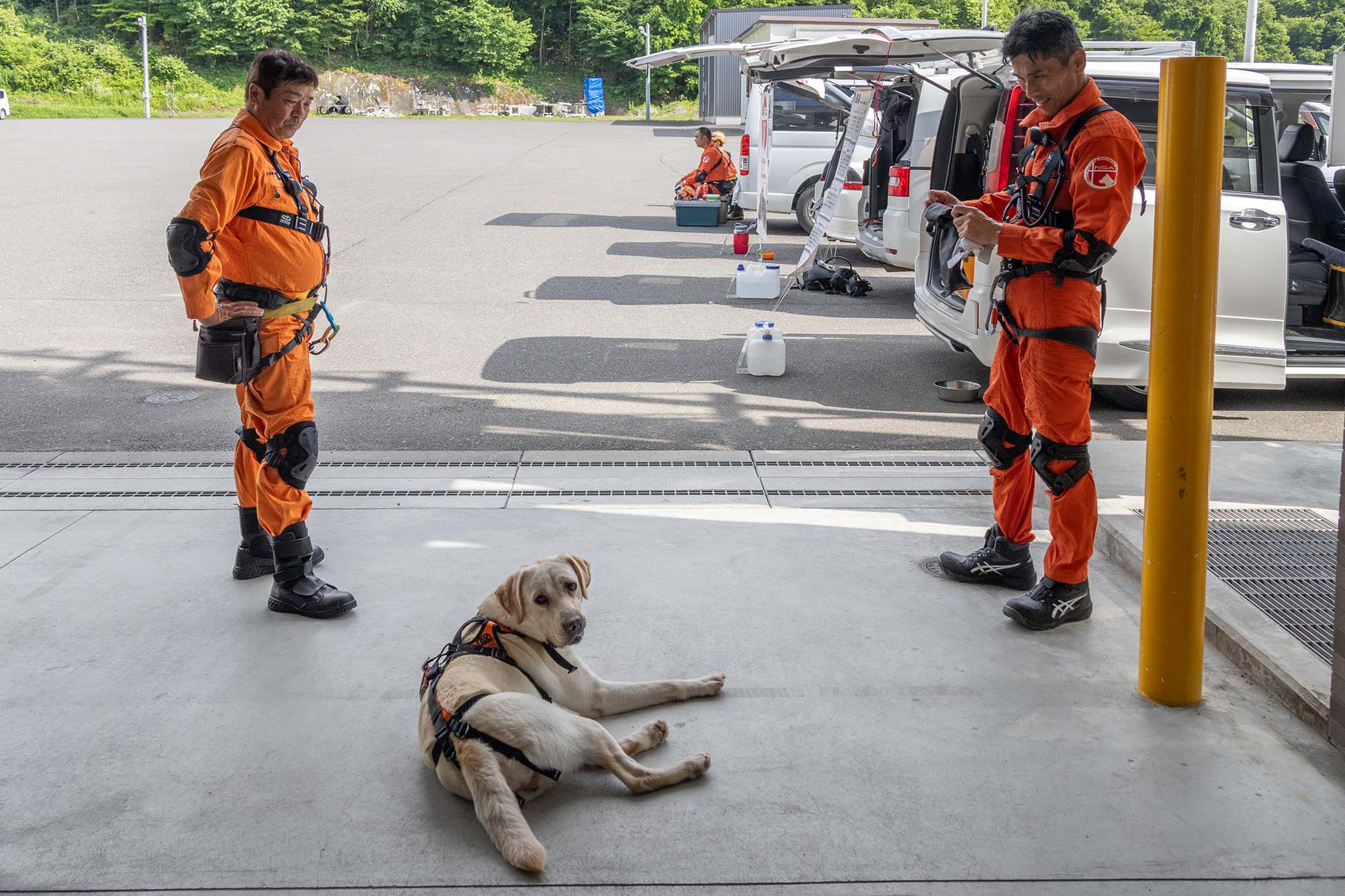 出動指示を待つ救助犬