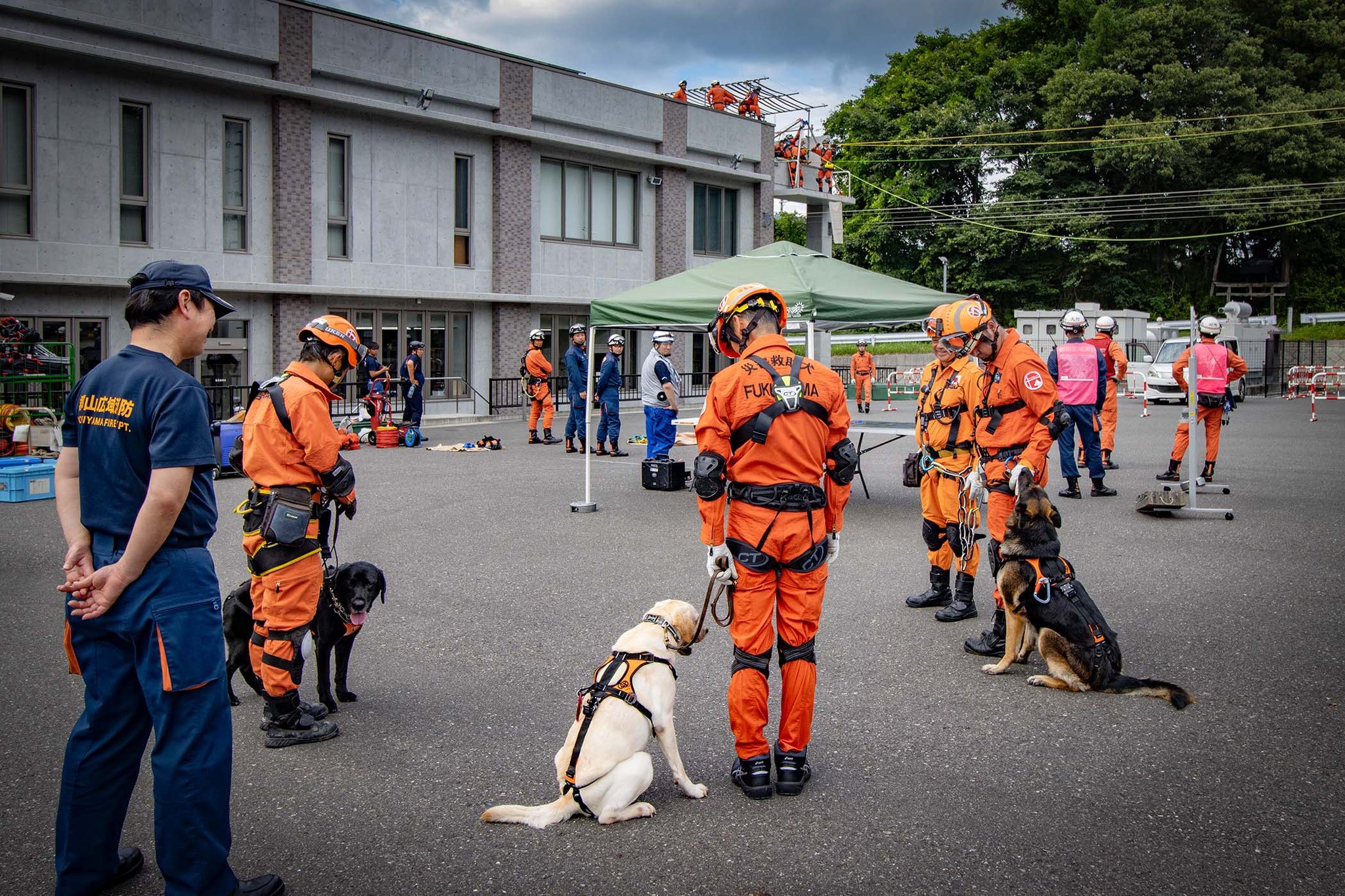 救助犬・ハンドラー　装備チェック