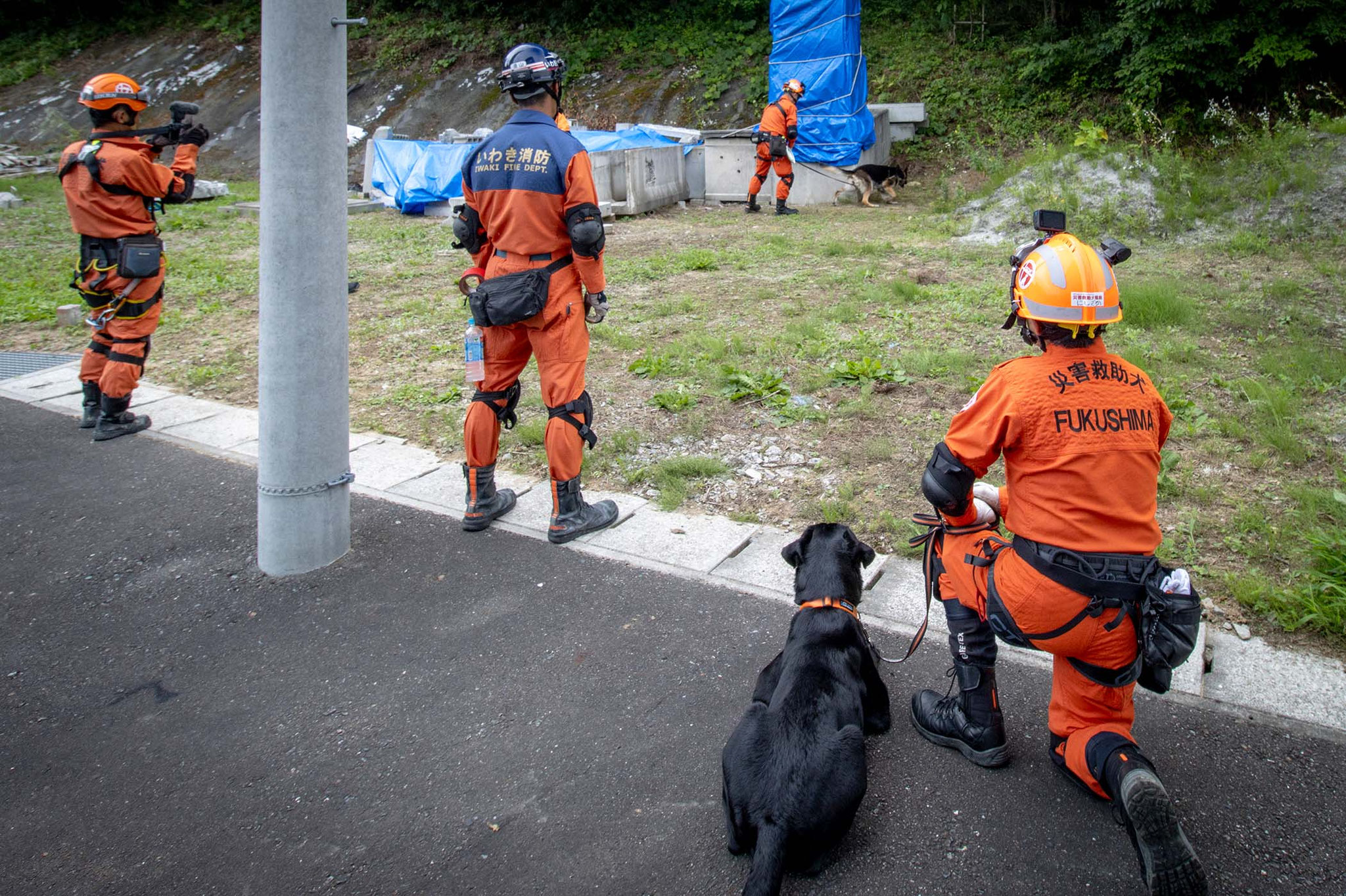 救助犬チーム全体で反応と状況チェック