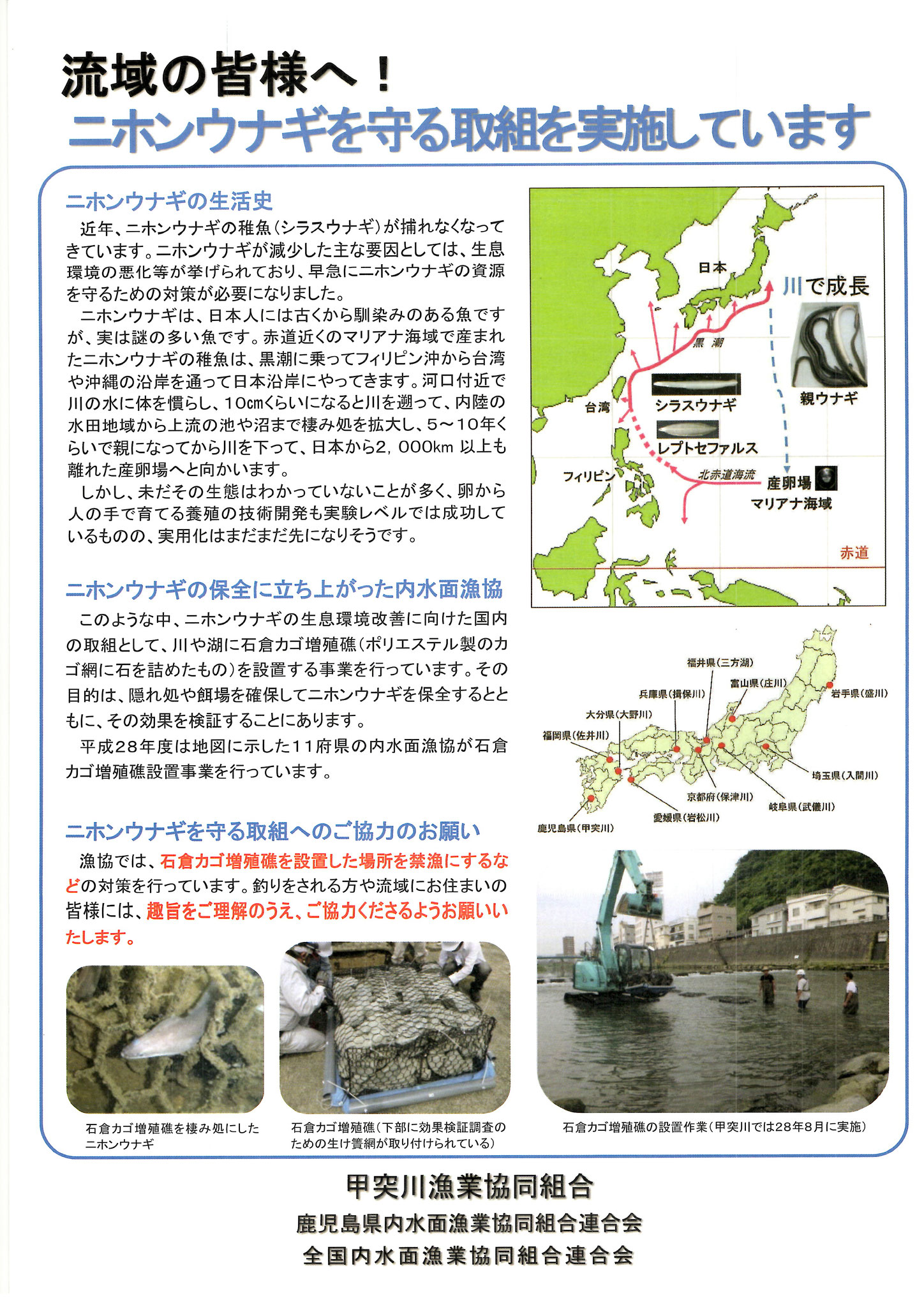 ホーム Kotsukigawagyokyo ページ ホーム Kotsukigawagyokyo ページ