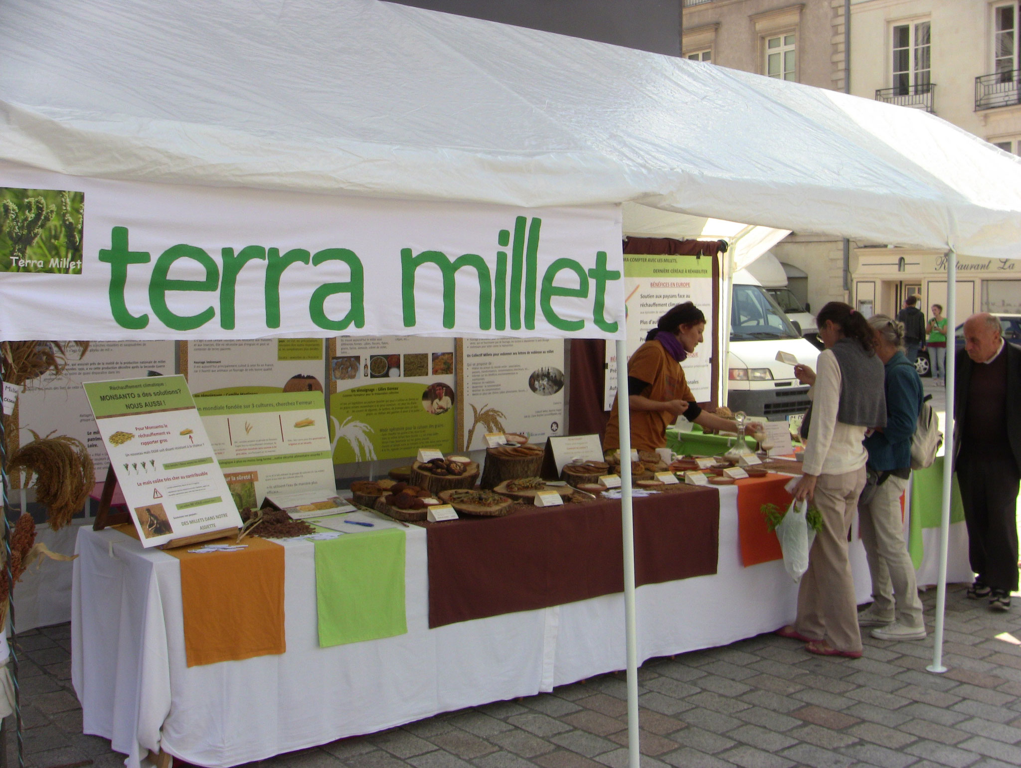 Terra Millet