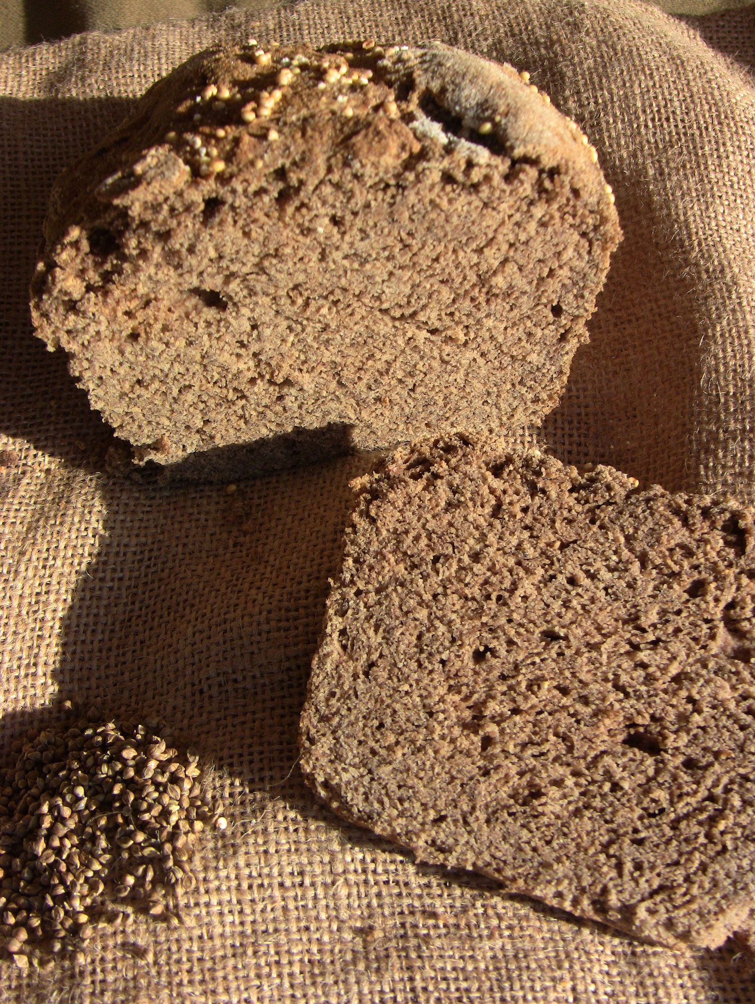 Pains au millet Terra Millet