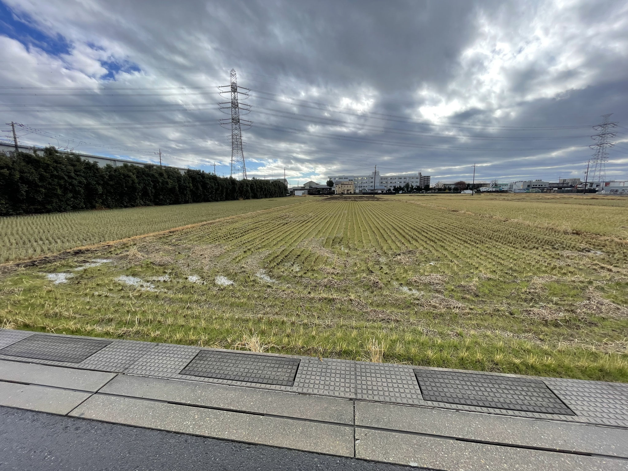 2022年12月契約（市街化調整区域の田）　神奈川県海老名市