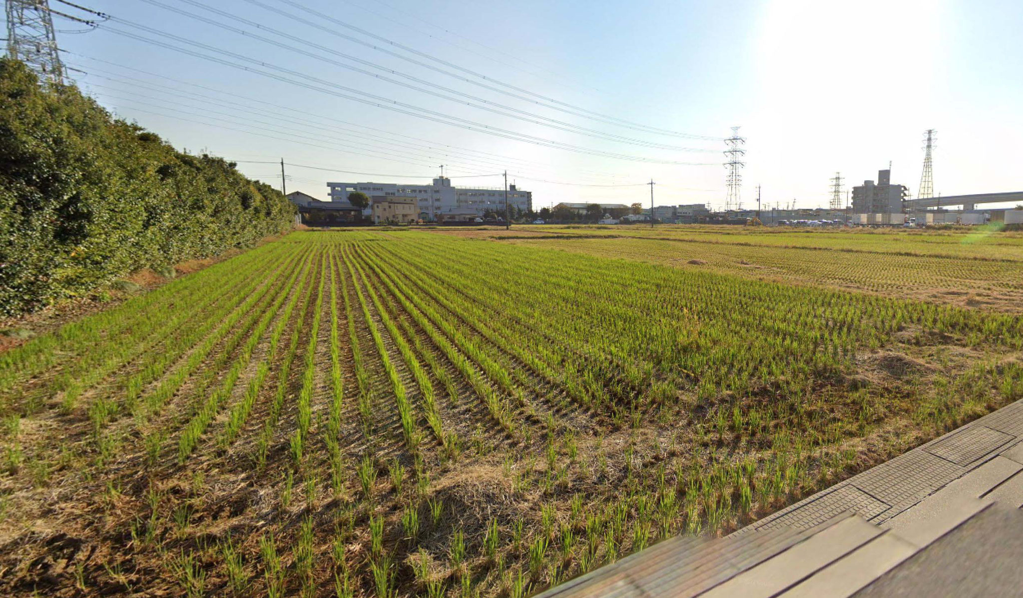 2023年2月契約（市街化調整区域の田）　神奈川県海老名市