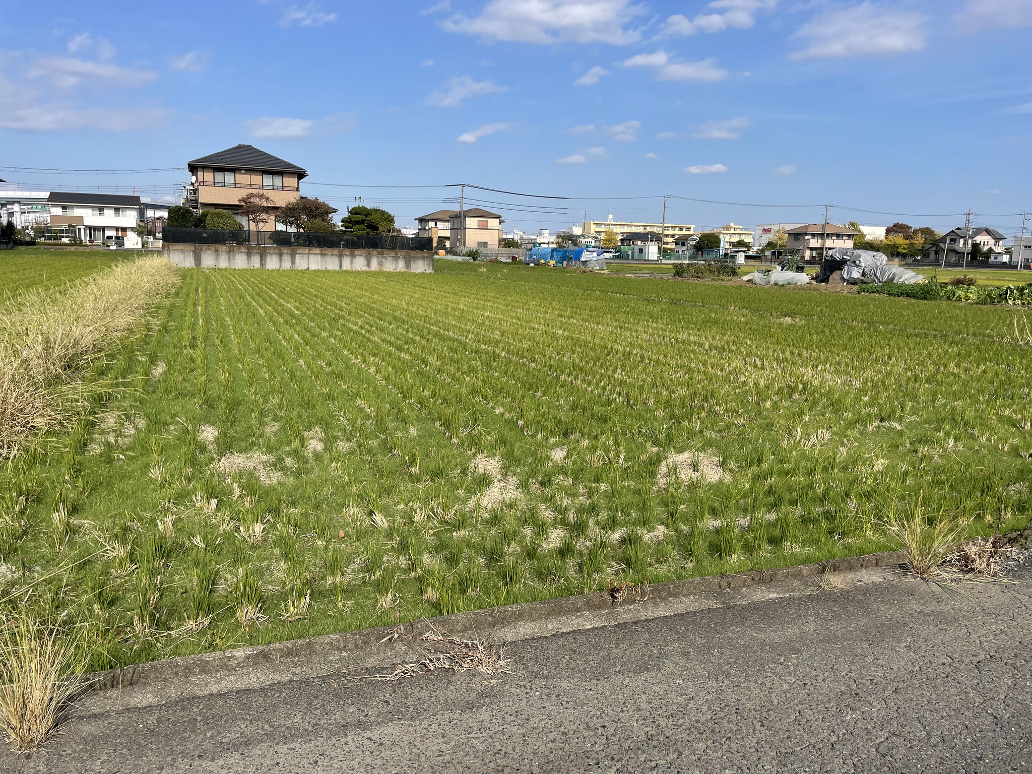 2023年7月契約（市街化調整区域の田）　神奈川県海老名市