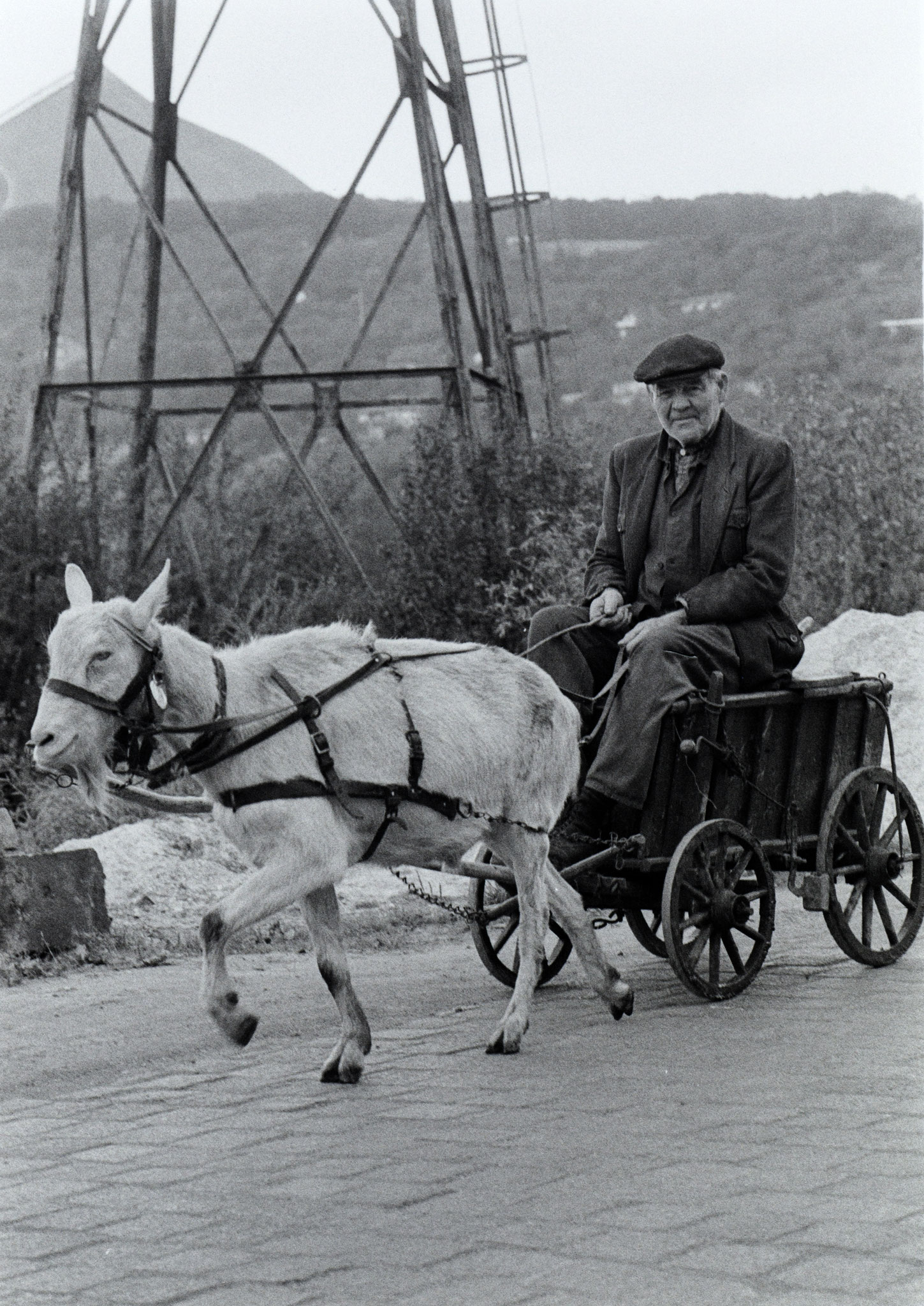 Ein älterer Mann steuert seinen Leiterwagen, gezogen von einem Ziegenbock, nahe Sangerhausen durch das Mansfelder Land. Im Hintergrund die Halden des Kupferbergbaues. Aufgenommen 1983. Foto: DDR Fotoerbe / Michael Richter