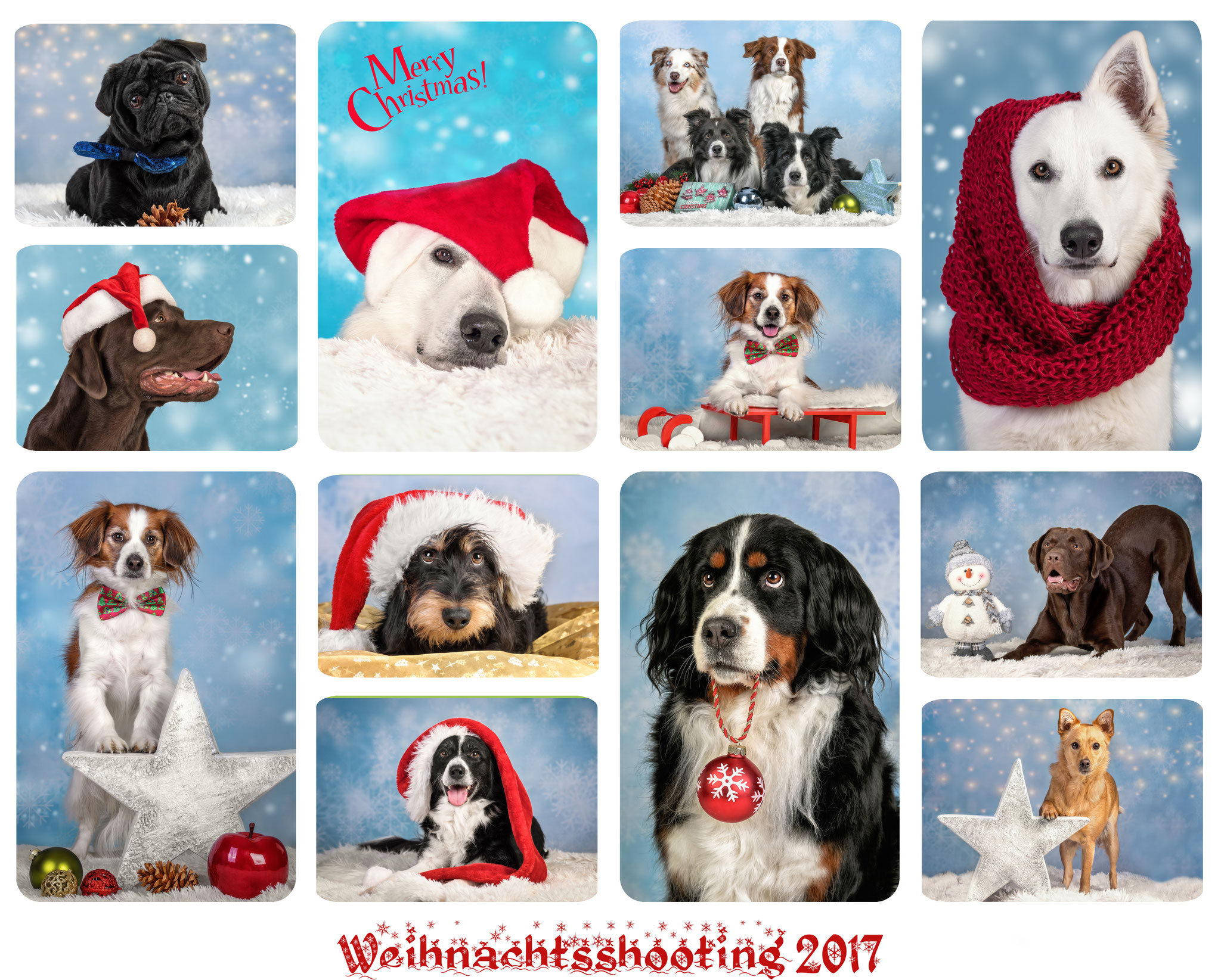 Weihnachtsshooting 2017