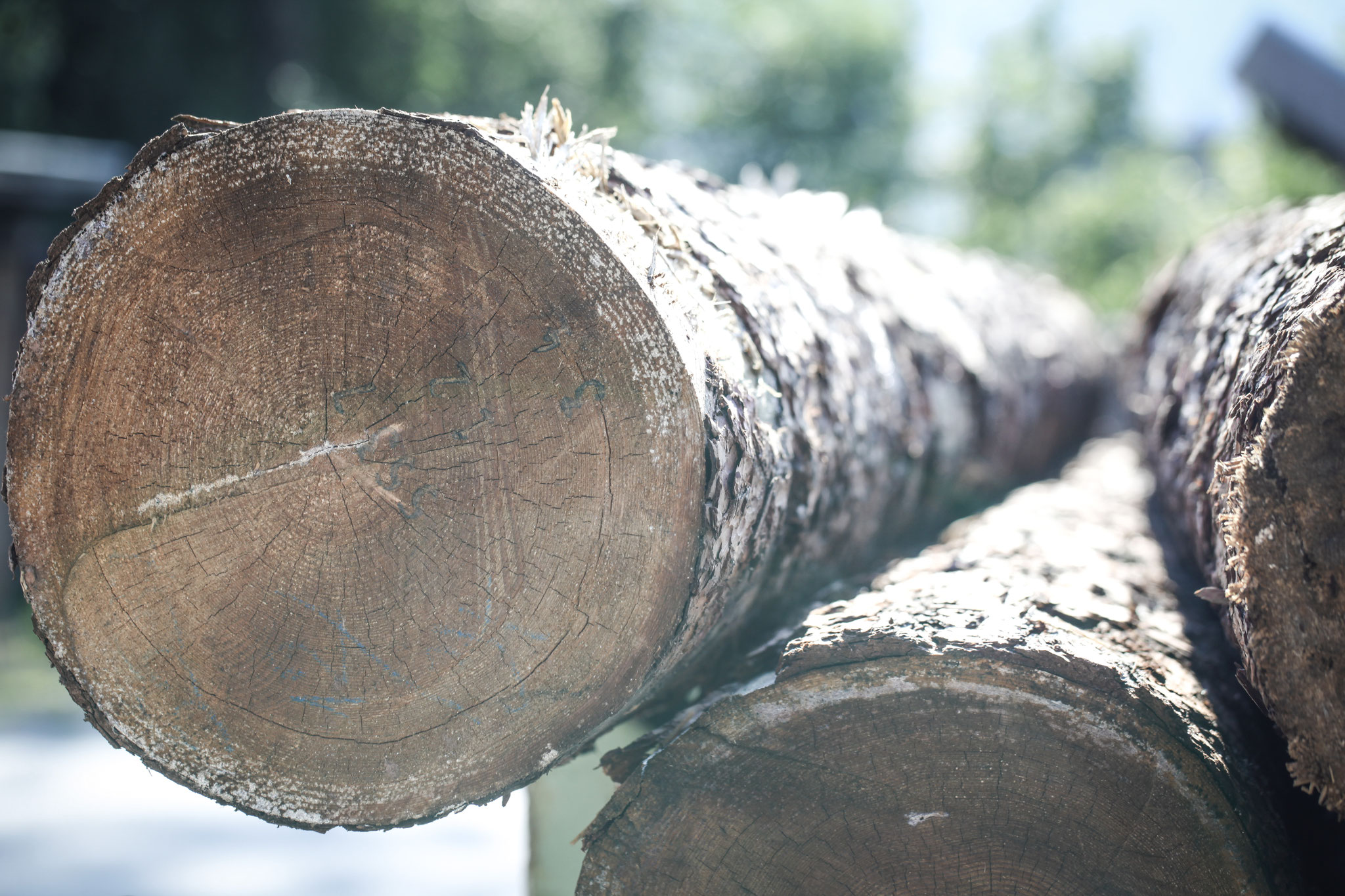 Mondholz Qualität aus Bayern SAGHAEUSL.de