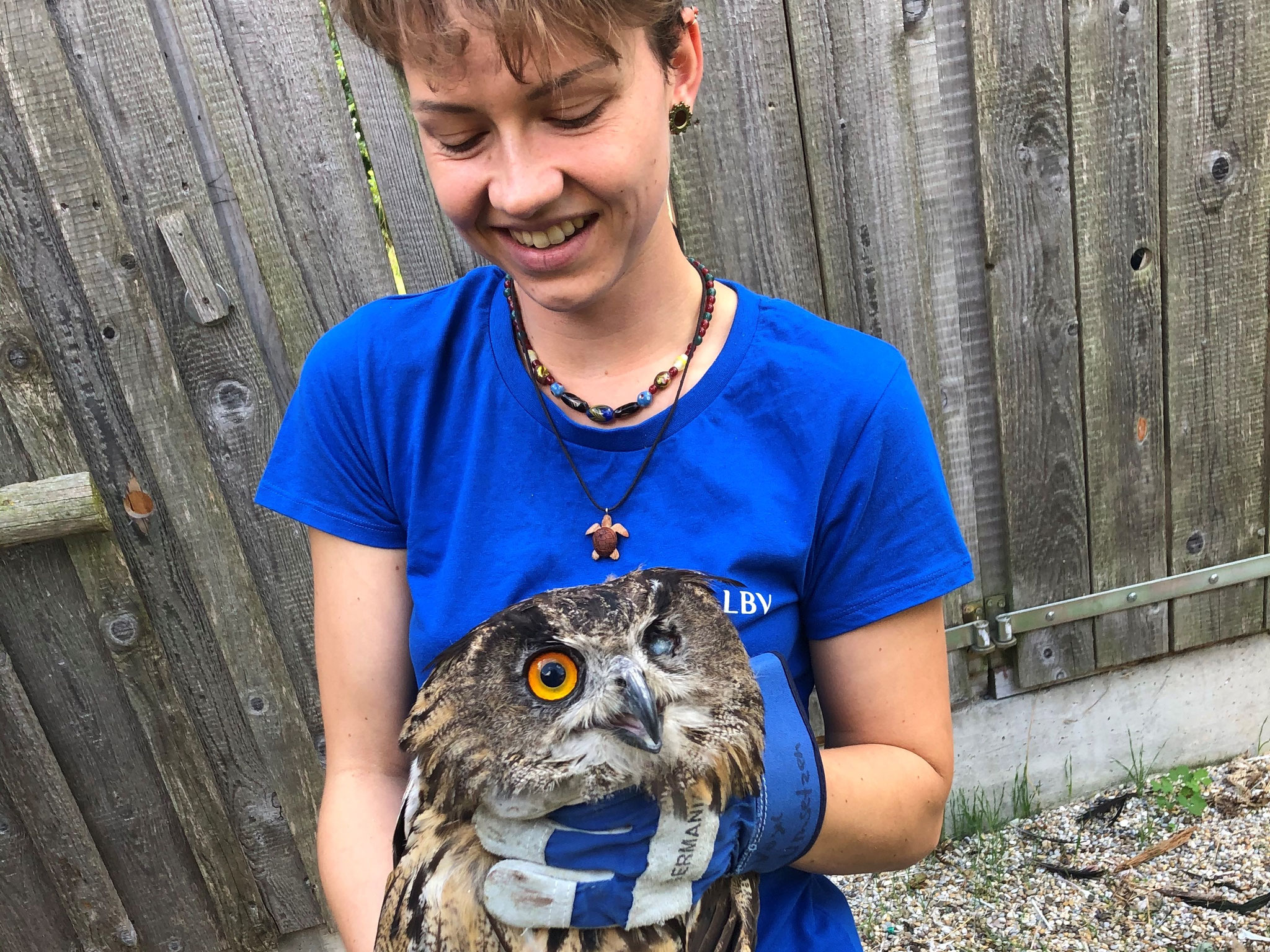 Nachmittags wird wieder ein verletzter Vogel vorbeigebracht. Wir nehmen ihn bei uns auf und kümmern uns um die Erstversorgung. Es stellt sich heraus, dass wir ihn zum Tierarzt bringen müssen. Also vorsichtig in die Kiste packen und ab zum Tierarzt.