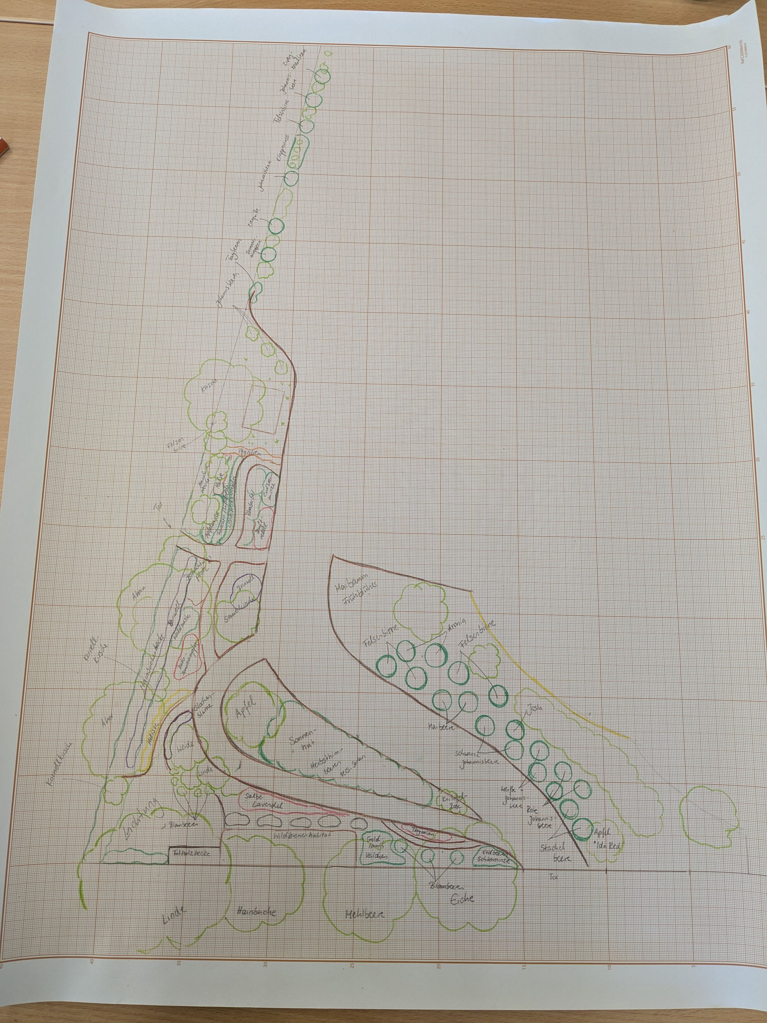 Waldgarten-Design -  Sorbische Kindertagesstätte „Chróšćan kołć“ - Crostwitz