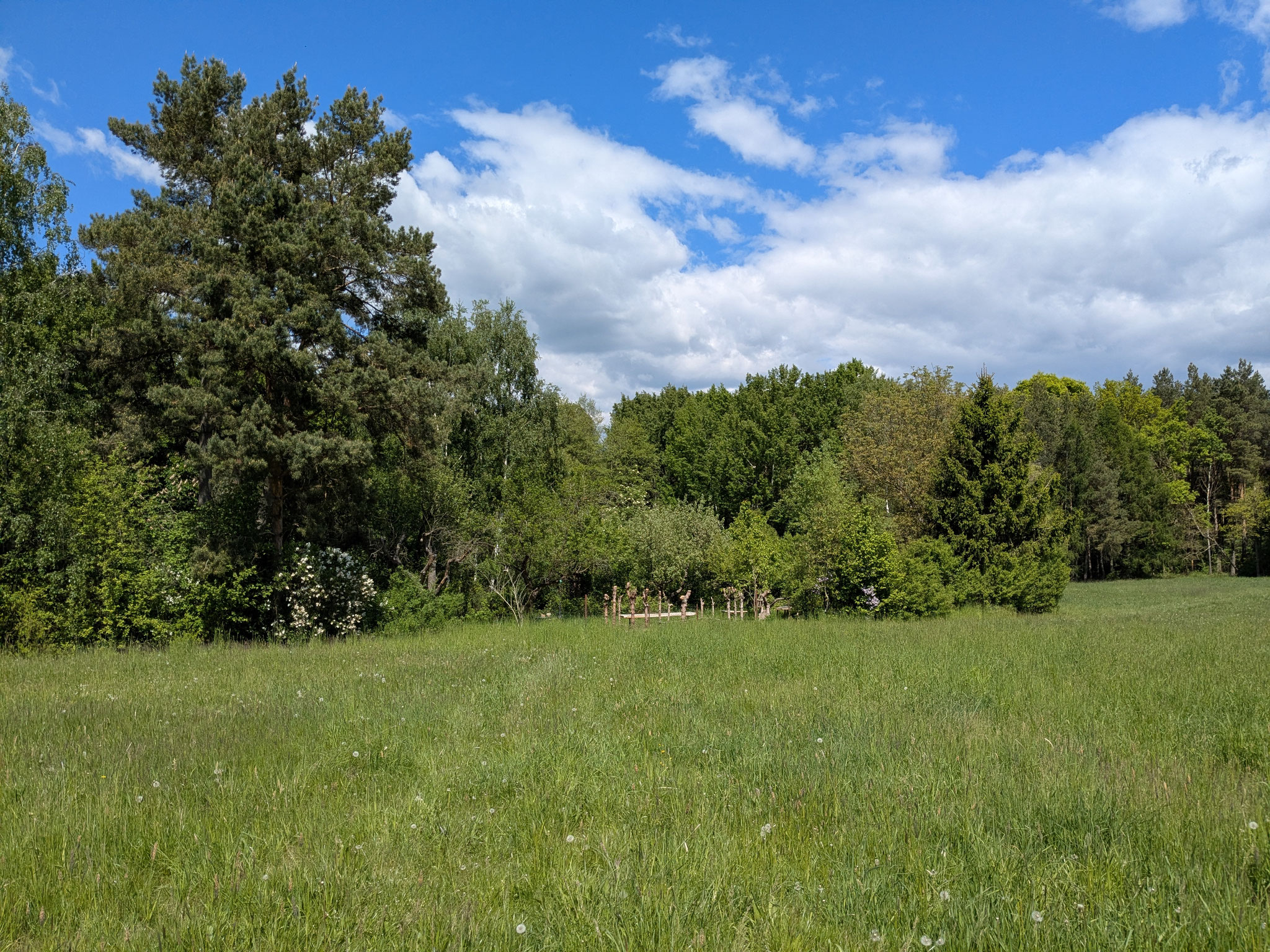 "Waldgarten" - Freie Schule „SCHKOLA“ -  Gersdorf