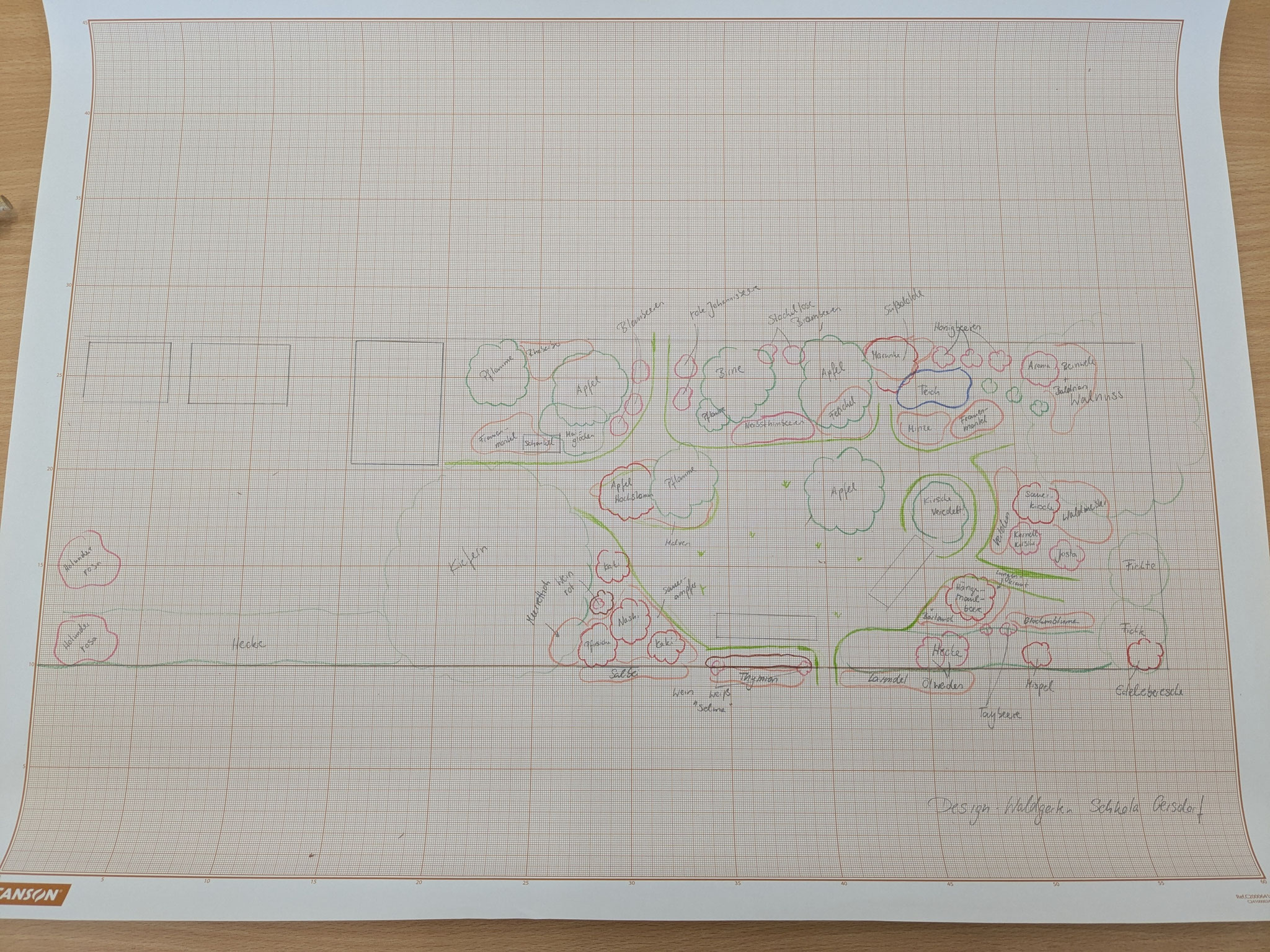 Waldgarten-Design - "Waldgarten" Freie Schule „SCHKOLA“ -  Gersdorf