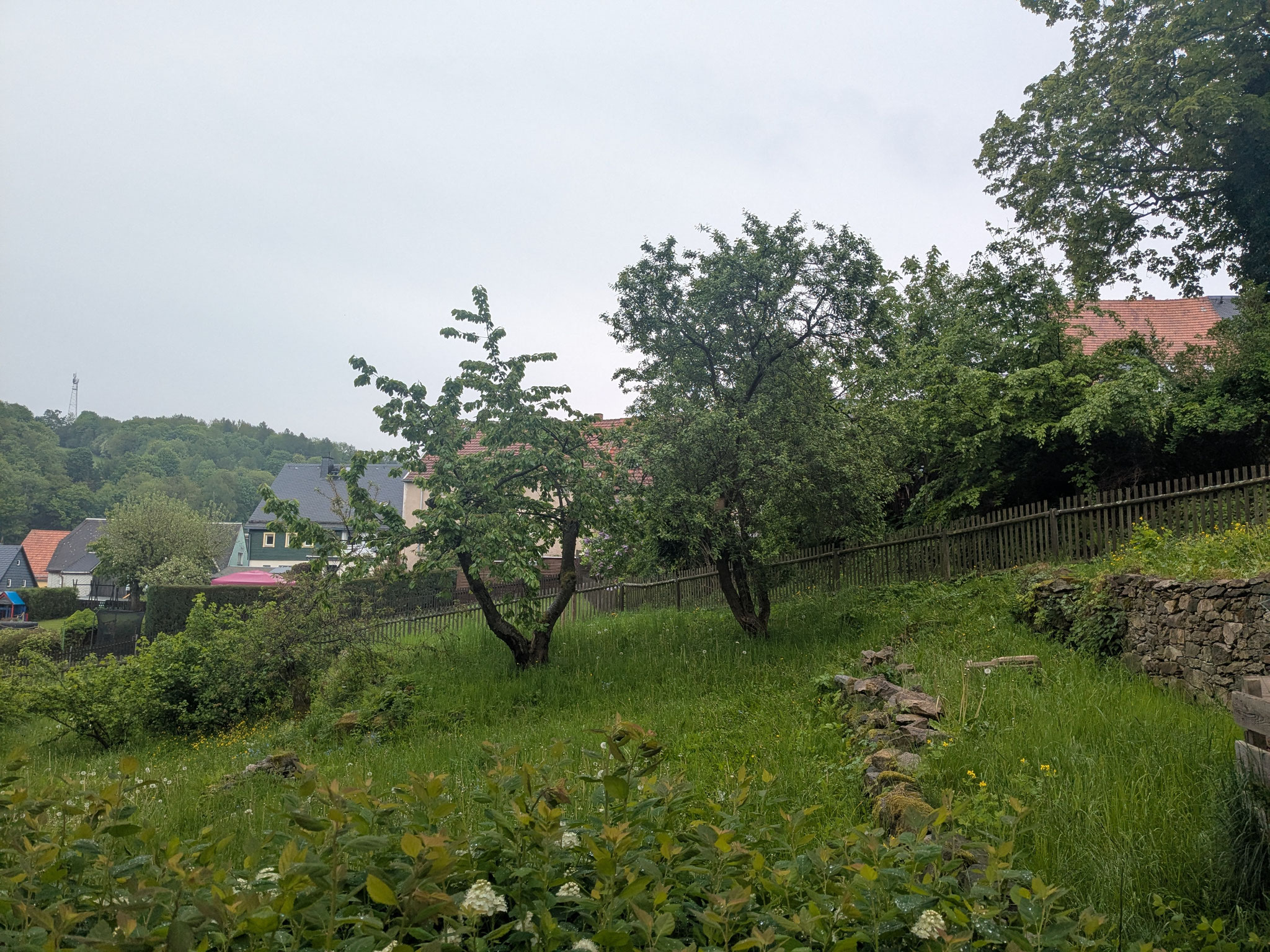 „Zukunftsgarten“ -  Schloss Lauenstein