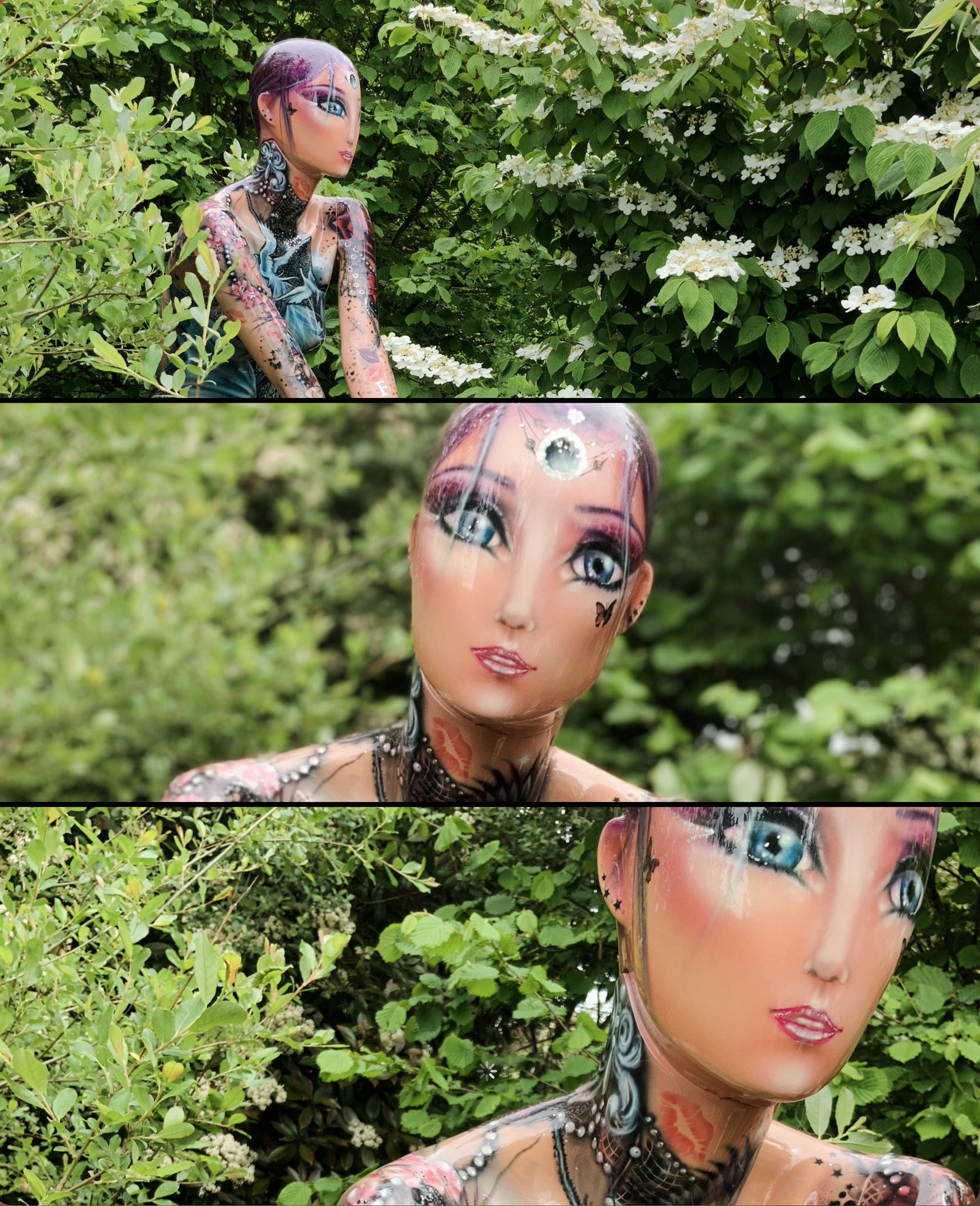 FAIRY