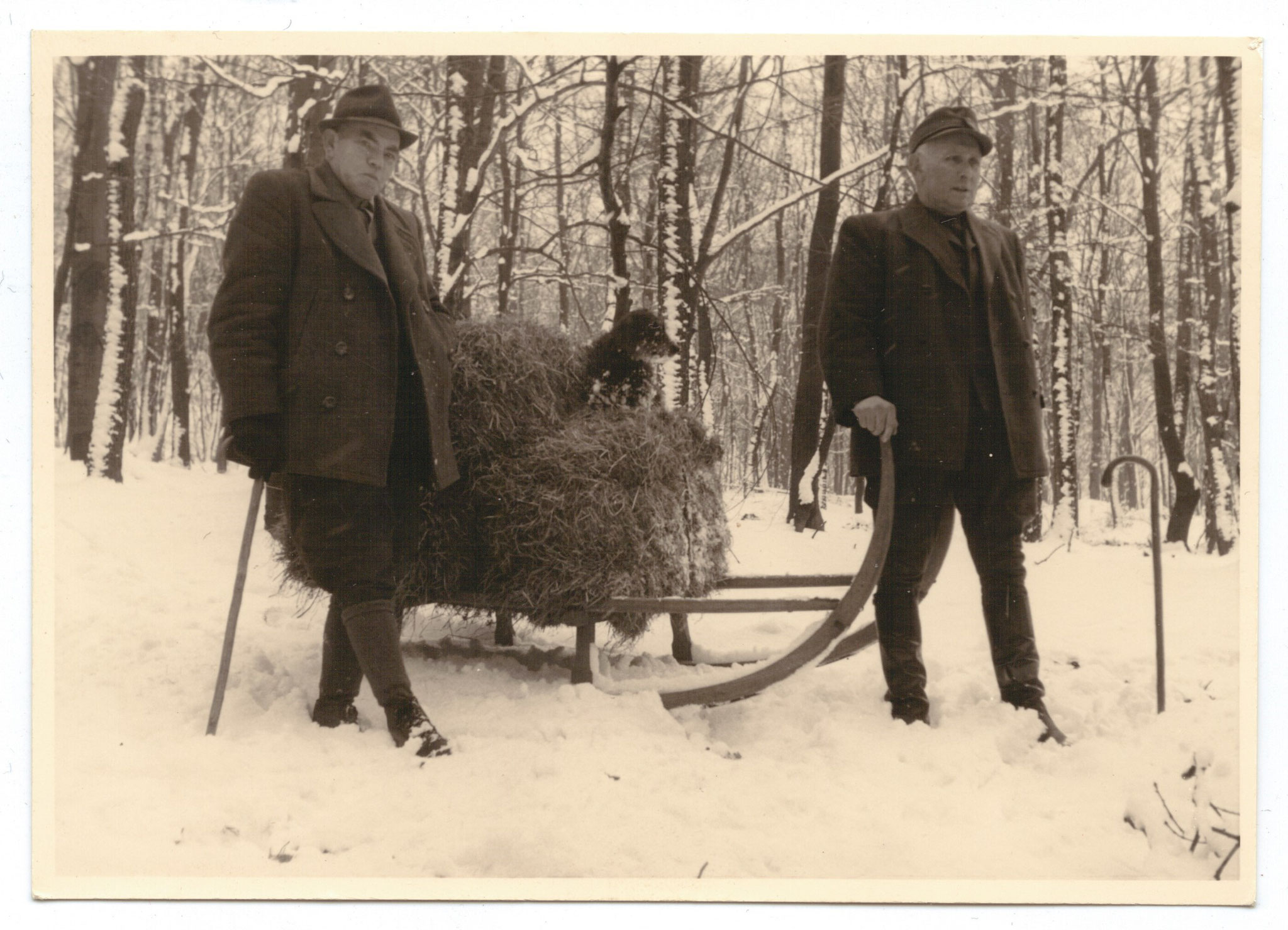 Wildfütterung durch den Revierförster in den 50er Jahren