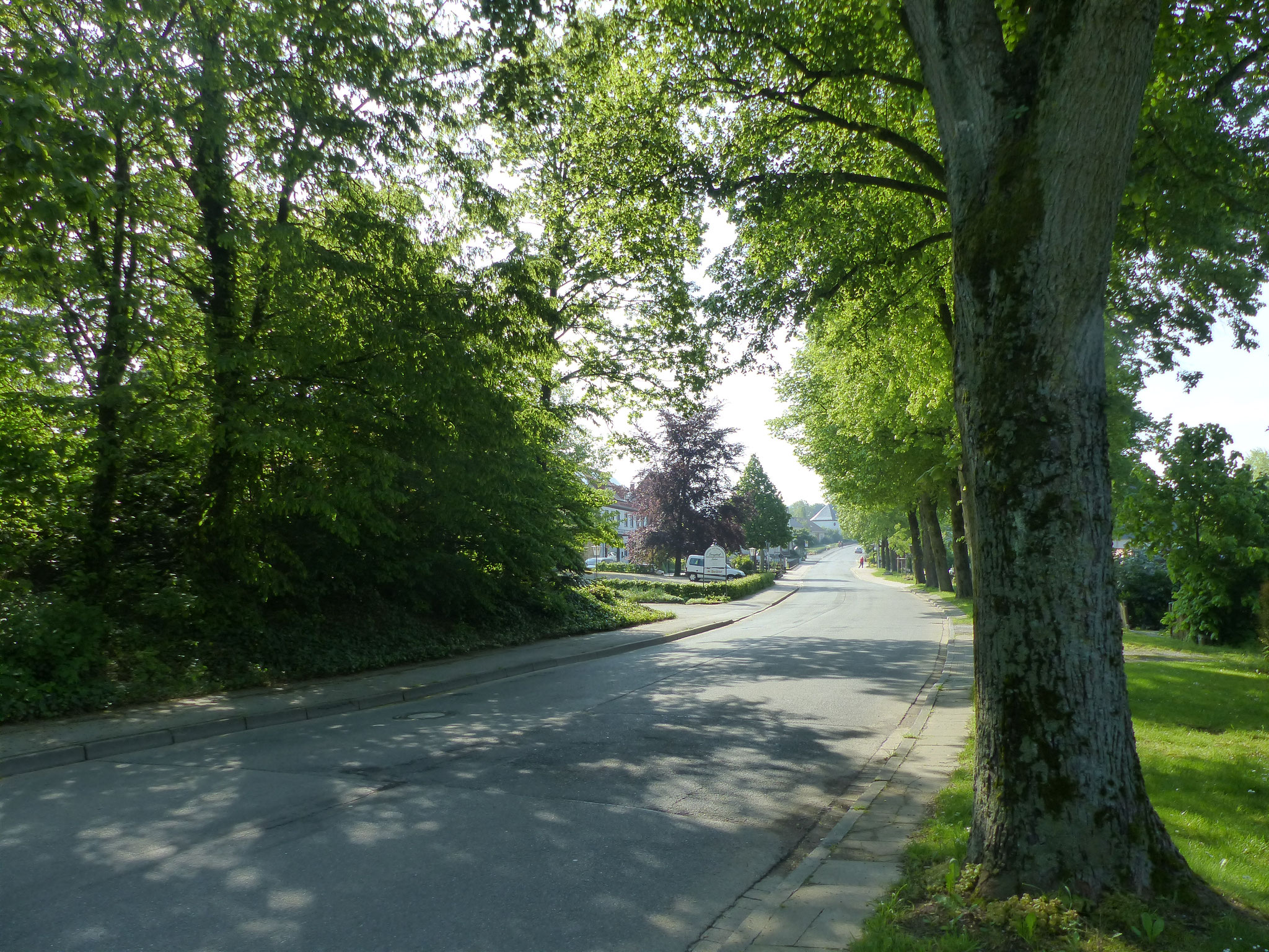 Sauerlandstraße dorfaufwärts