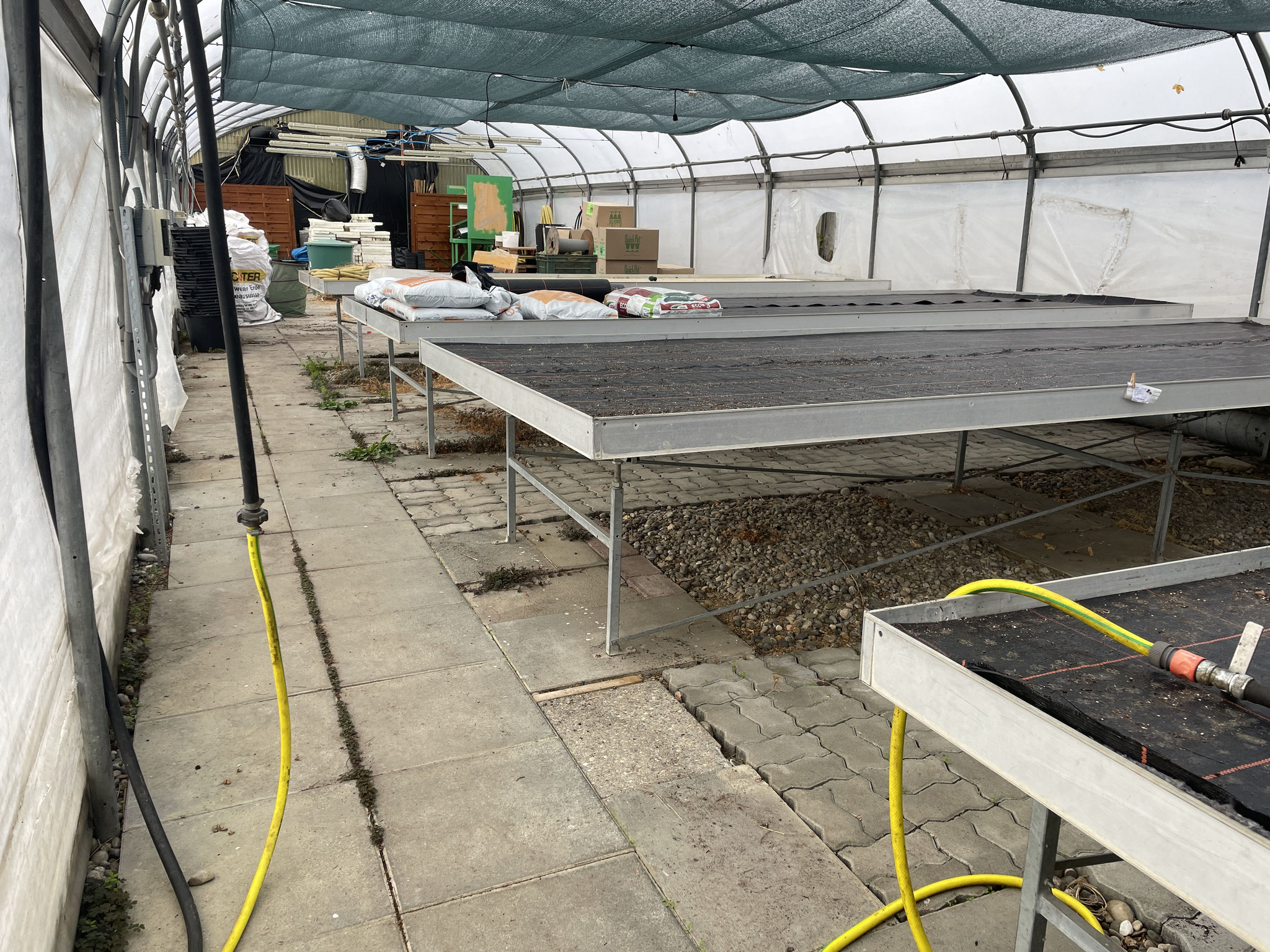 Gewächshaus nachher