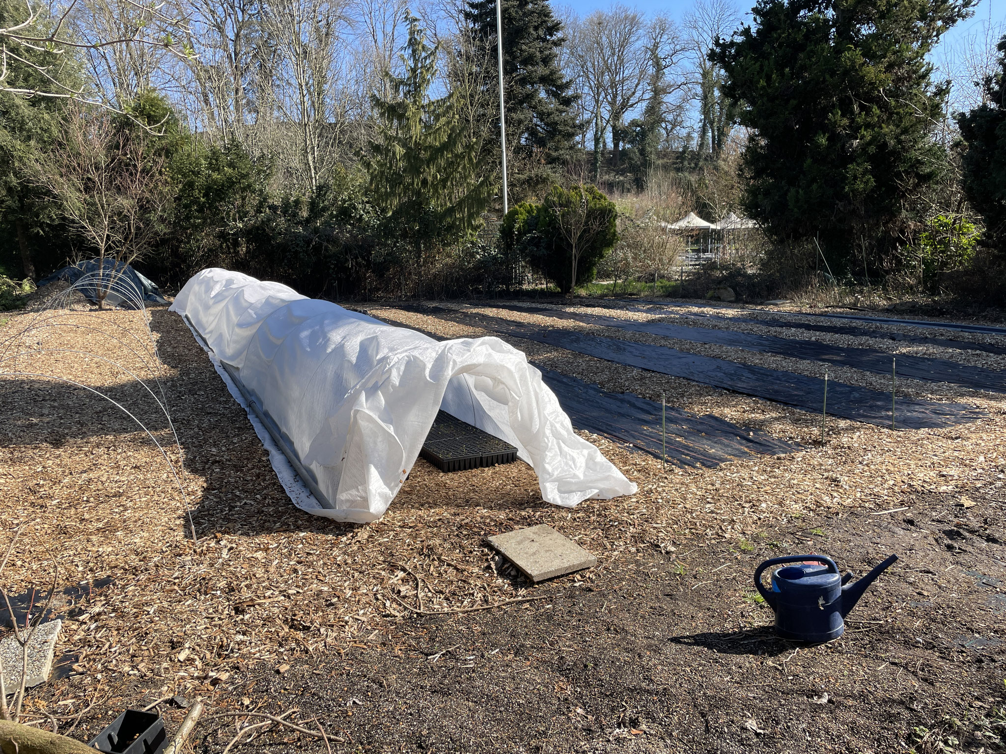 Stellfläche nachher