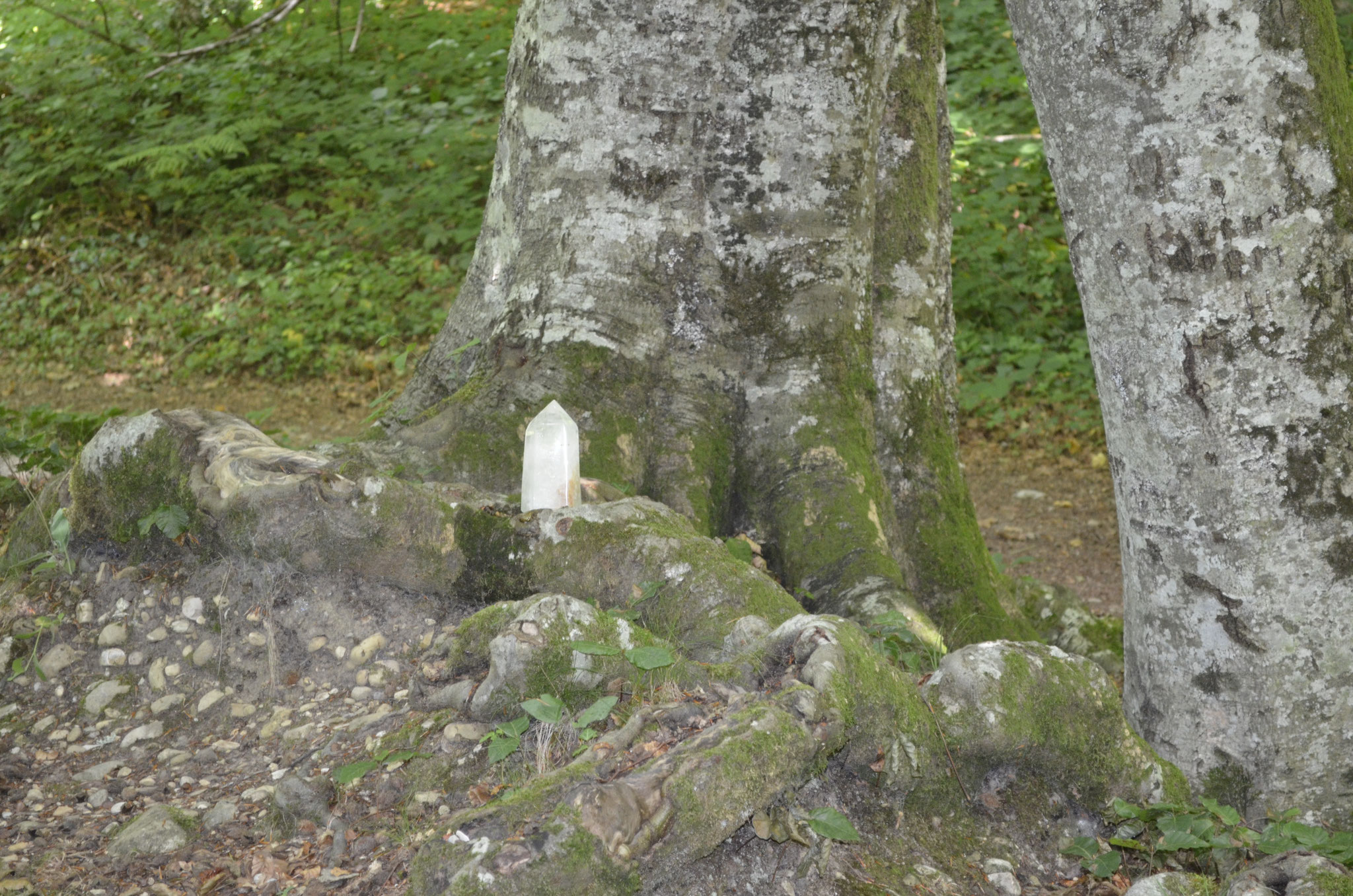 Recharge du cristal pour l'elixir