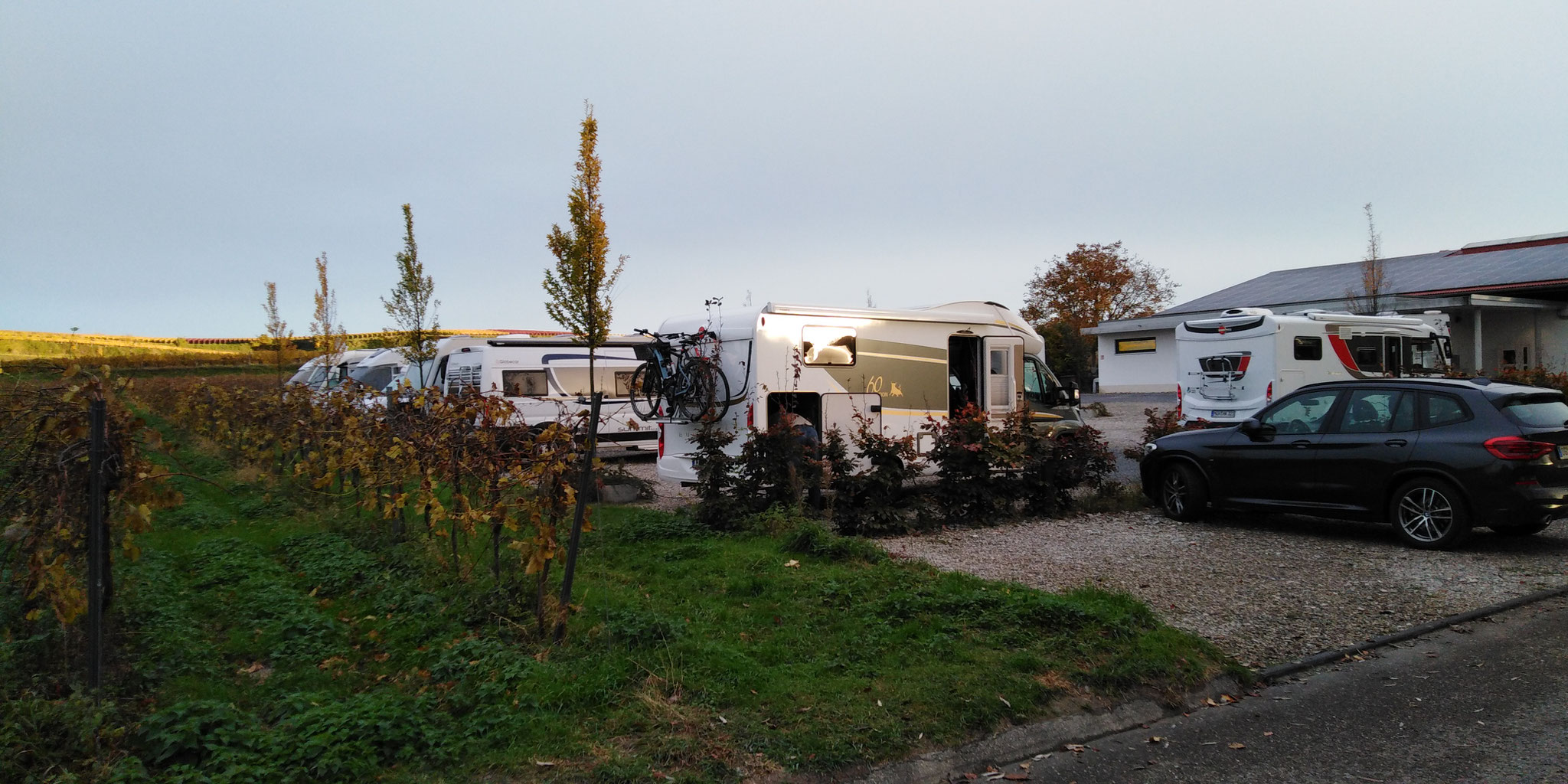 in Endlingen