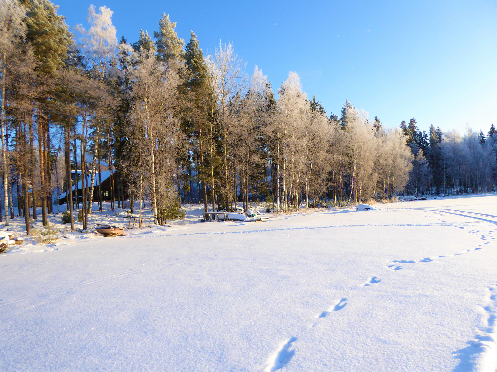 Cross-country skiing. Bay in front of your house
