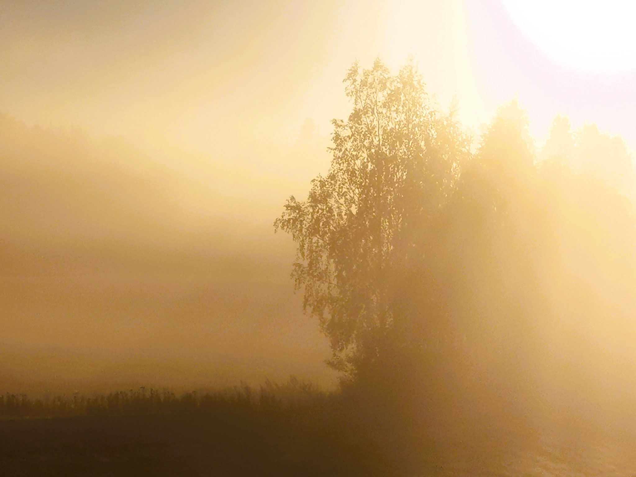 and relaxed moments during sunrise