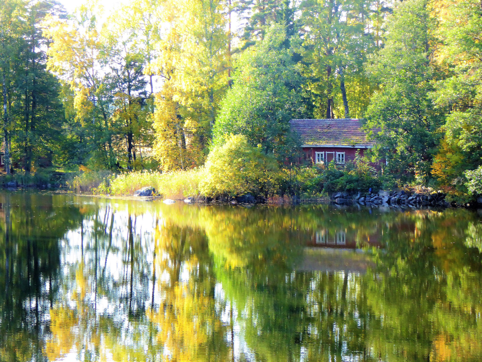 Canoeing  (Canadier) at Lake Päijänne and nearby river Virtaa .  Hiking in polar forest area. View of river Virtaa, Sysmä