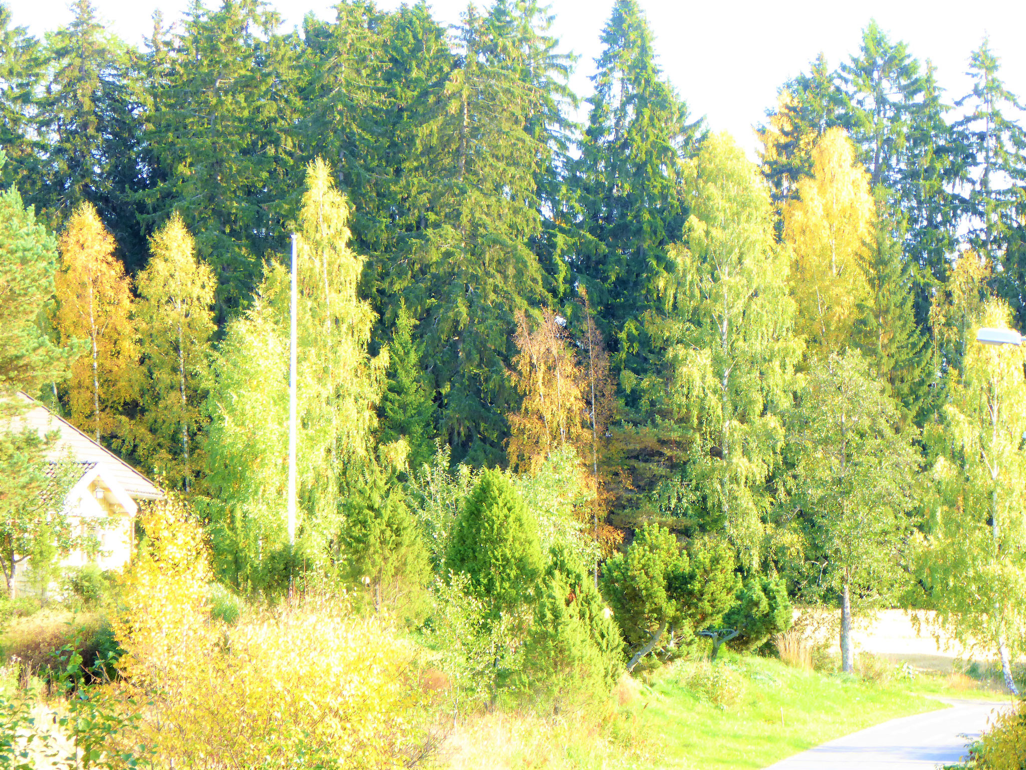 Quiet autumn in Finland