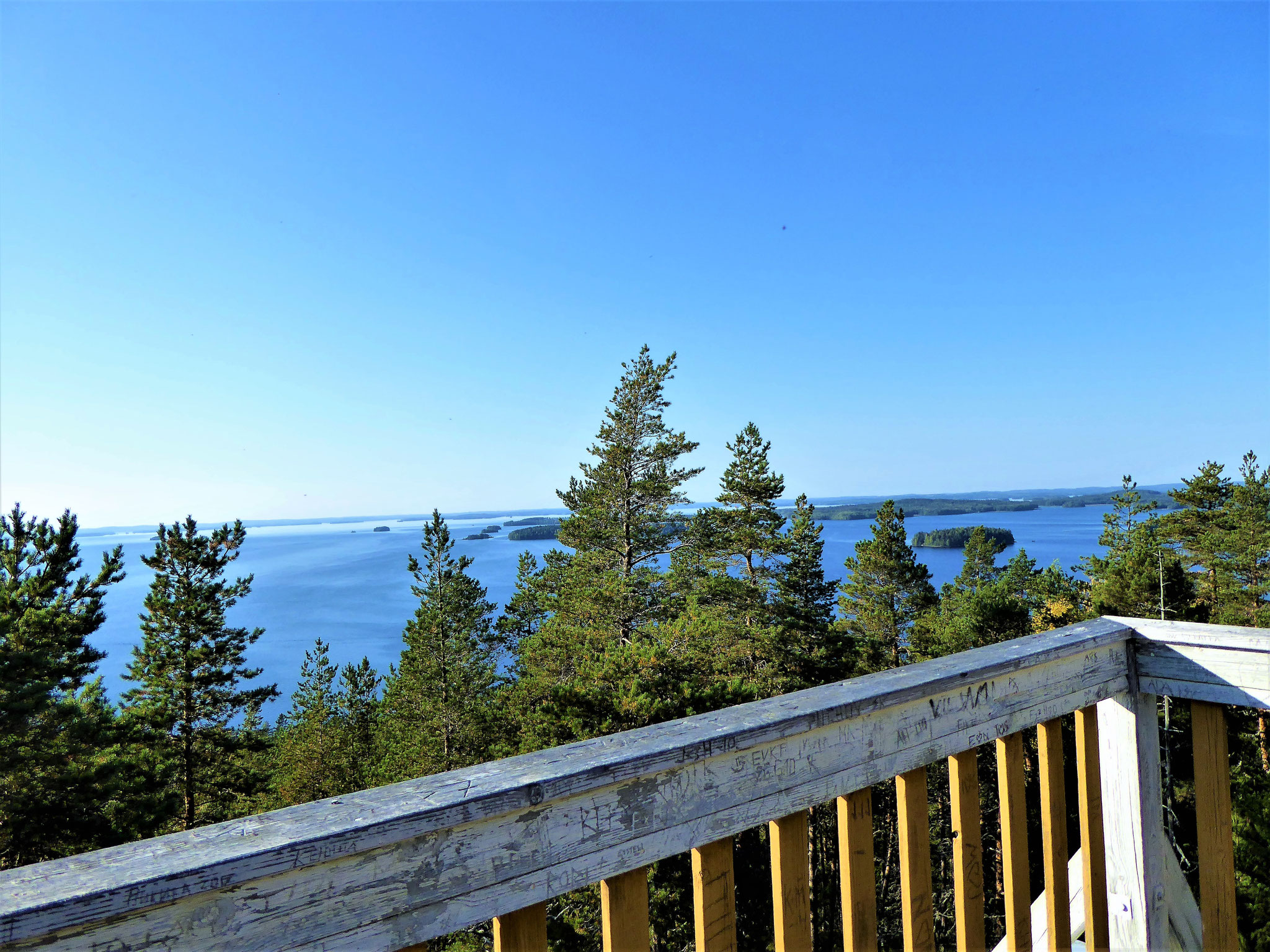 View from the observation tower 1.5 km from the log house. Panorama view included