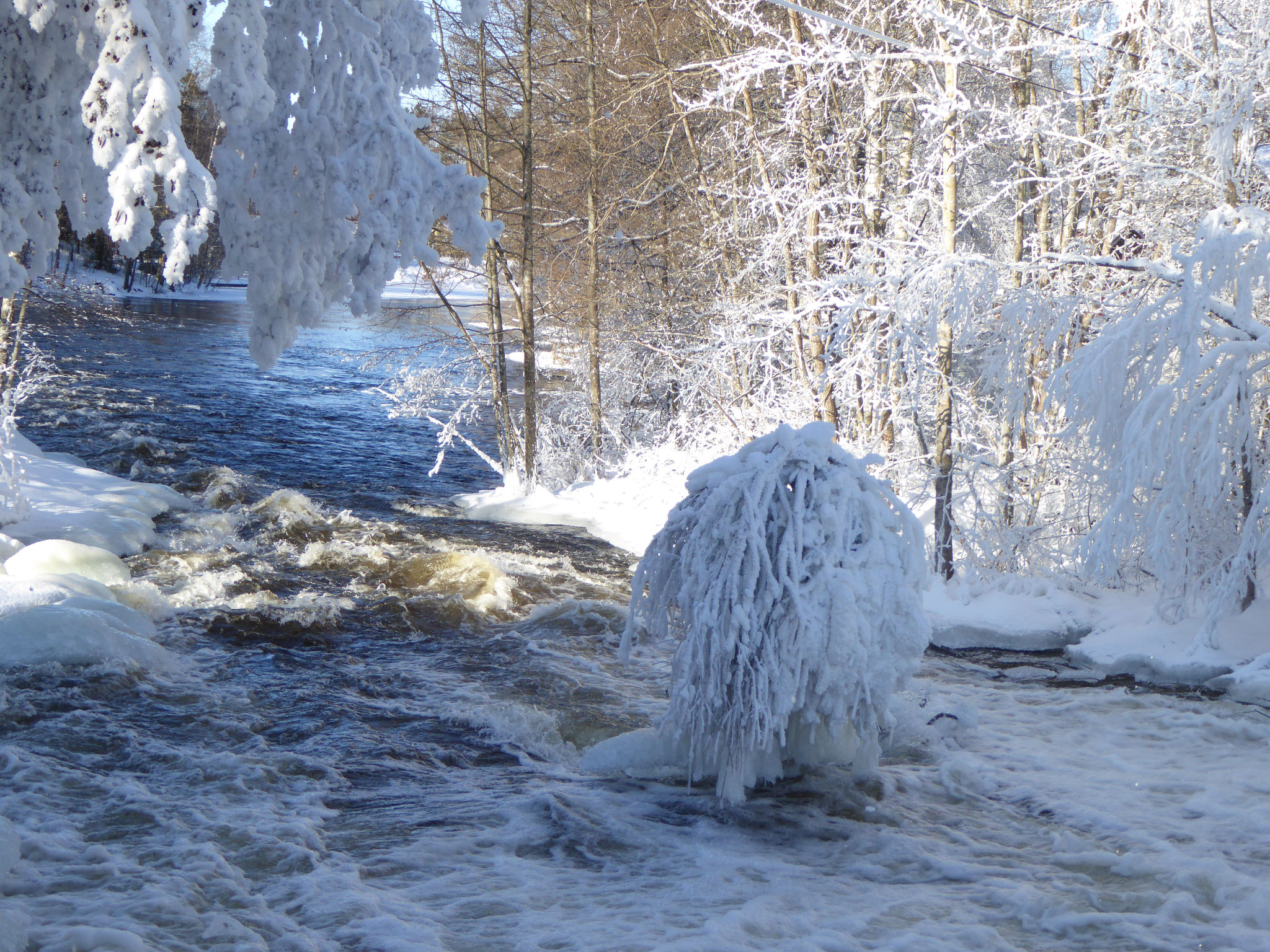 ... on the river Virtaa. Both from January onward. View of the river Virtaa about 15 km from the house. Reachable by car