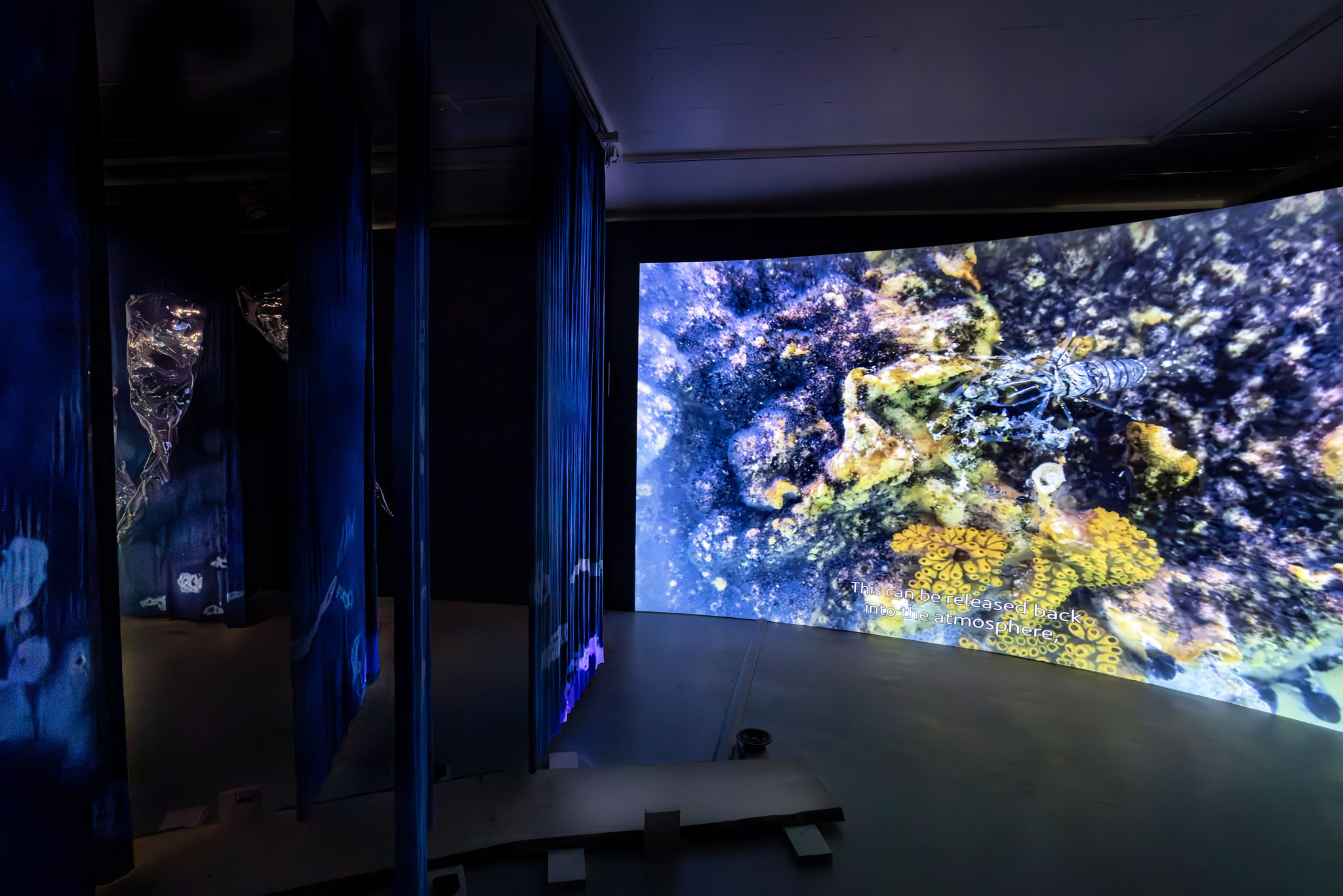 Riikka Tauriainen & Meike Vogt, Plankton Imaginary, 2023, Installation, Experimental Ecology, KBH.G Foto: Kulturstiftung Basel H. Geiger | KBH.G 
